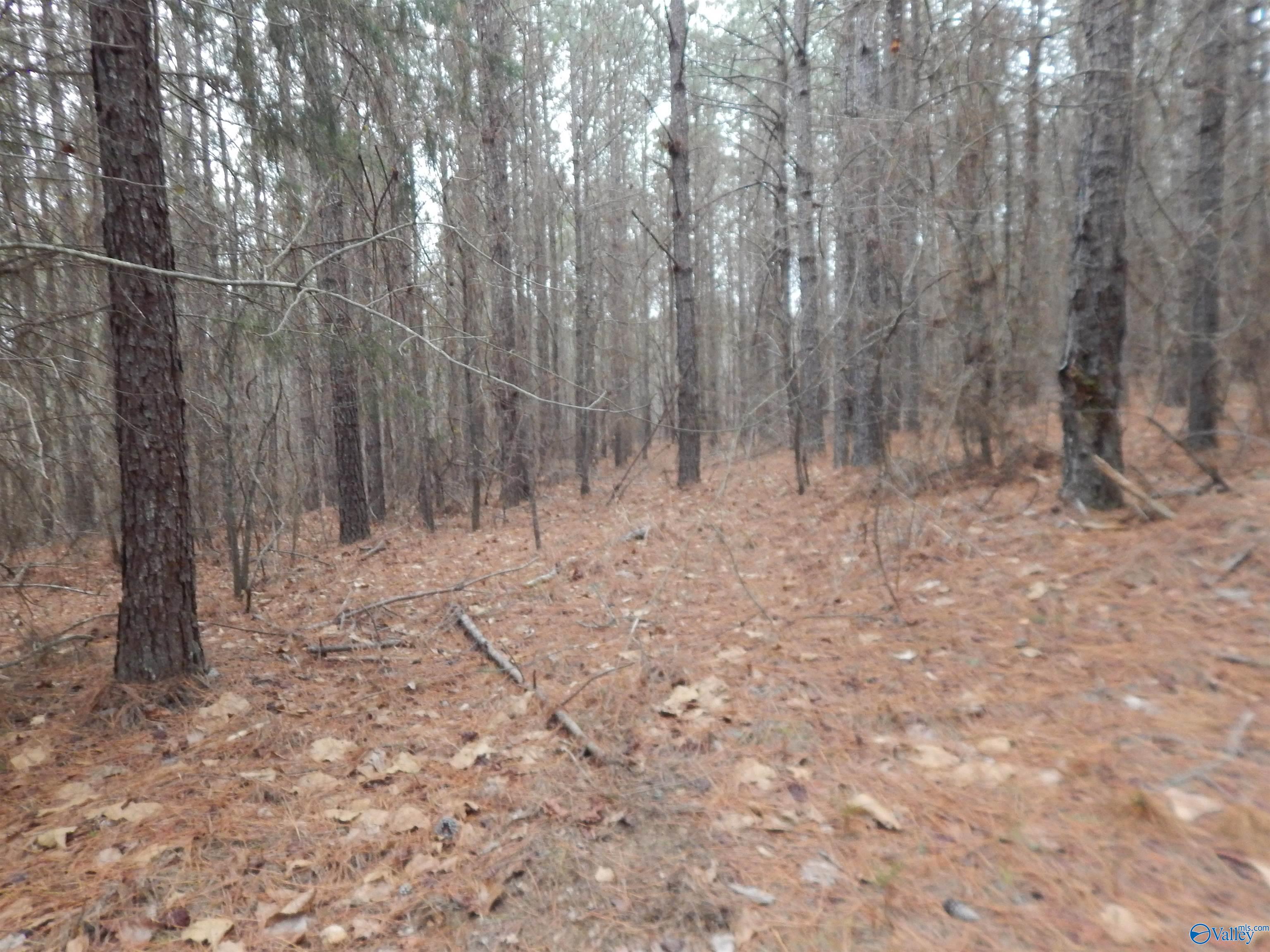 67 acres US Highway 280