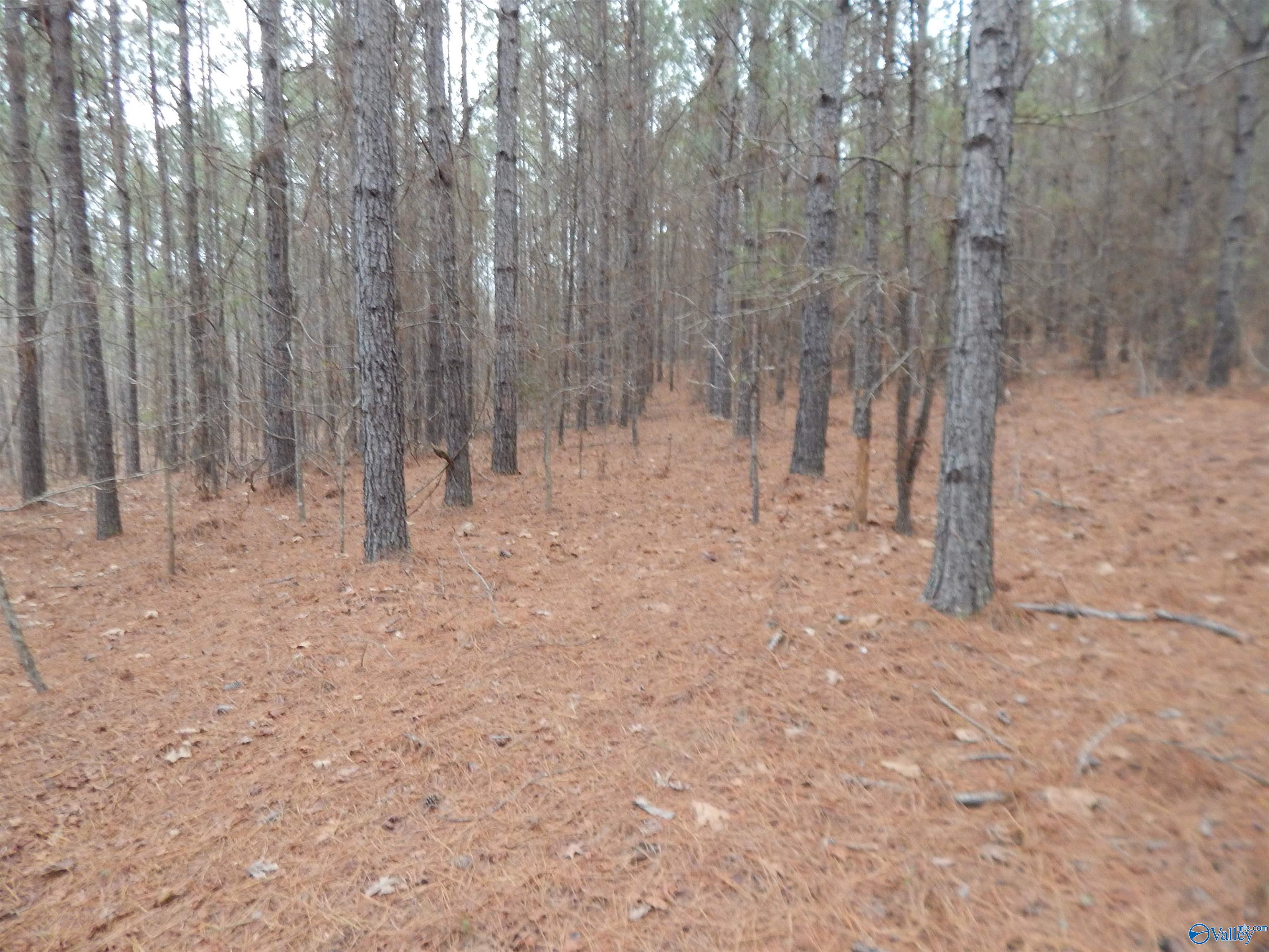 67 acres US Highway 280