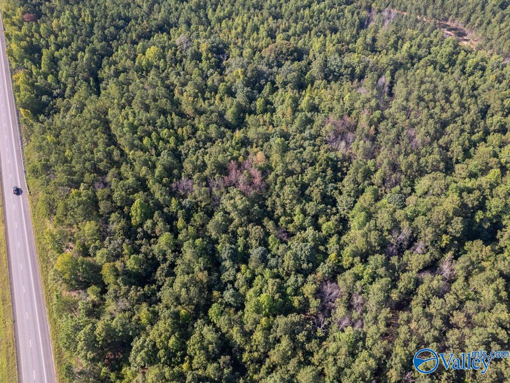 67 acres US Highway 280