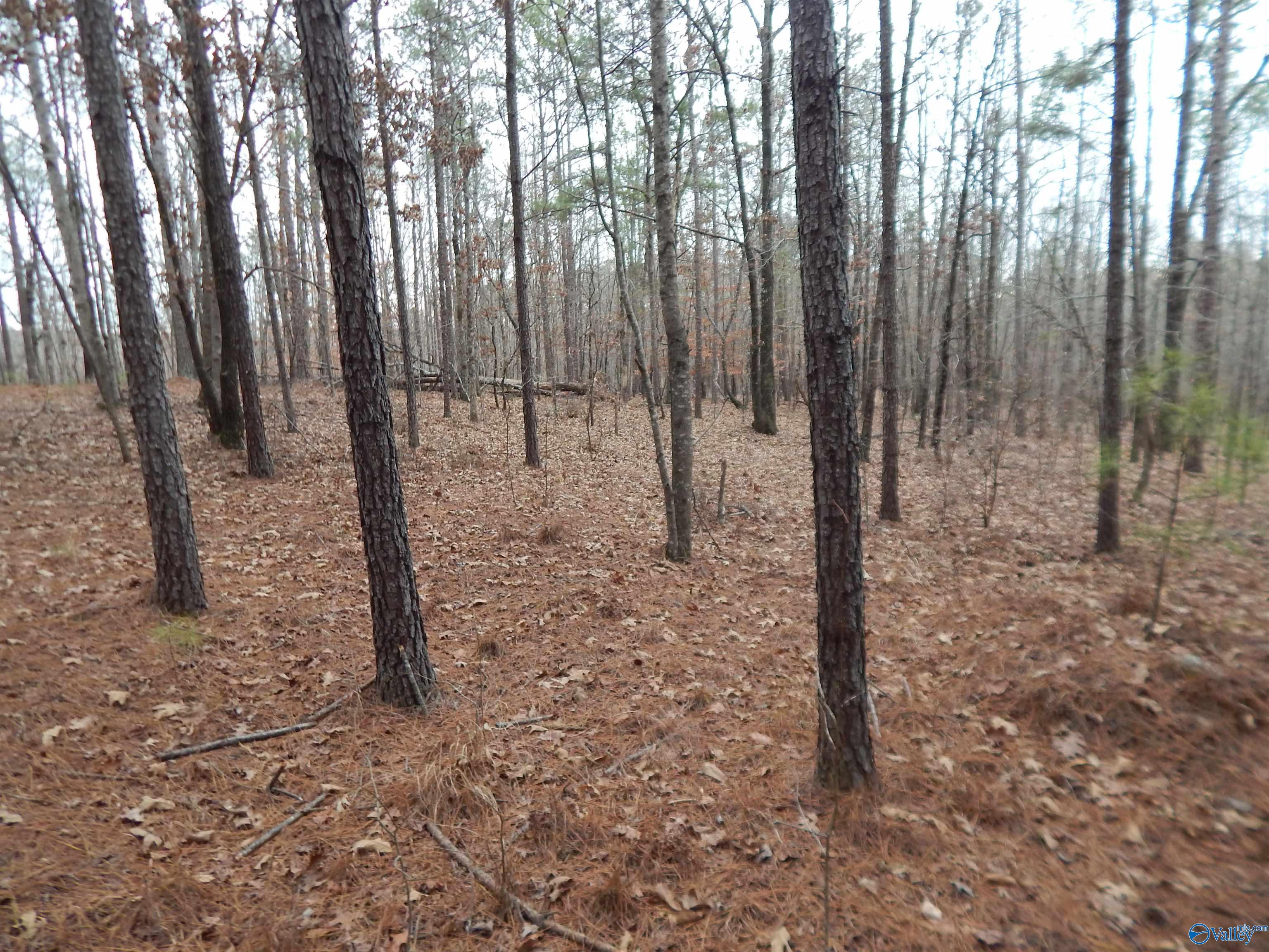 67 acres US Highway 280