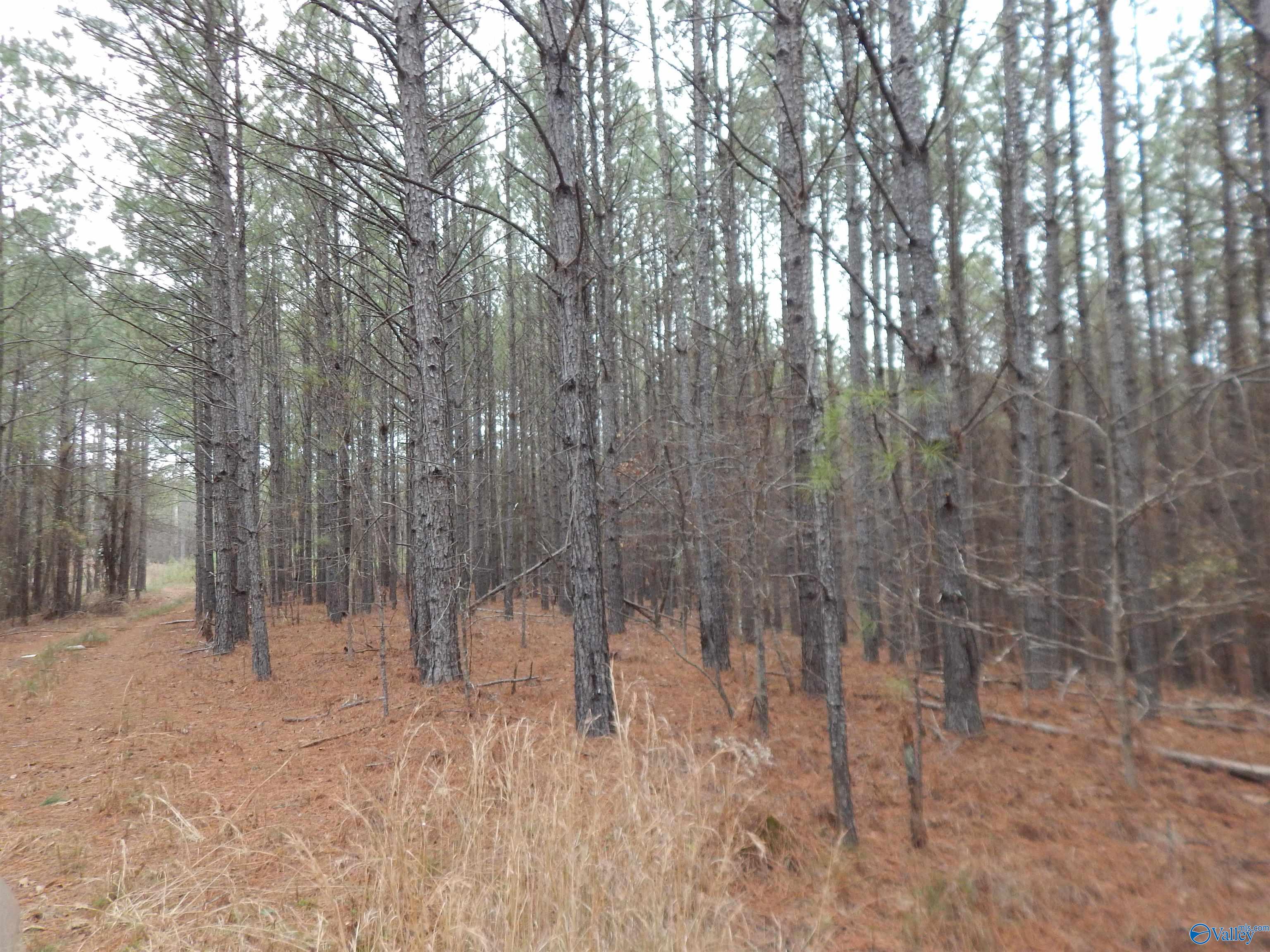 67 acres US Highway 280