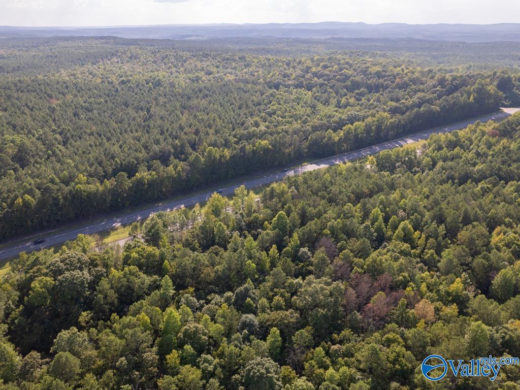 67 acres US Highway 280