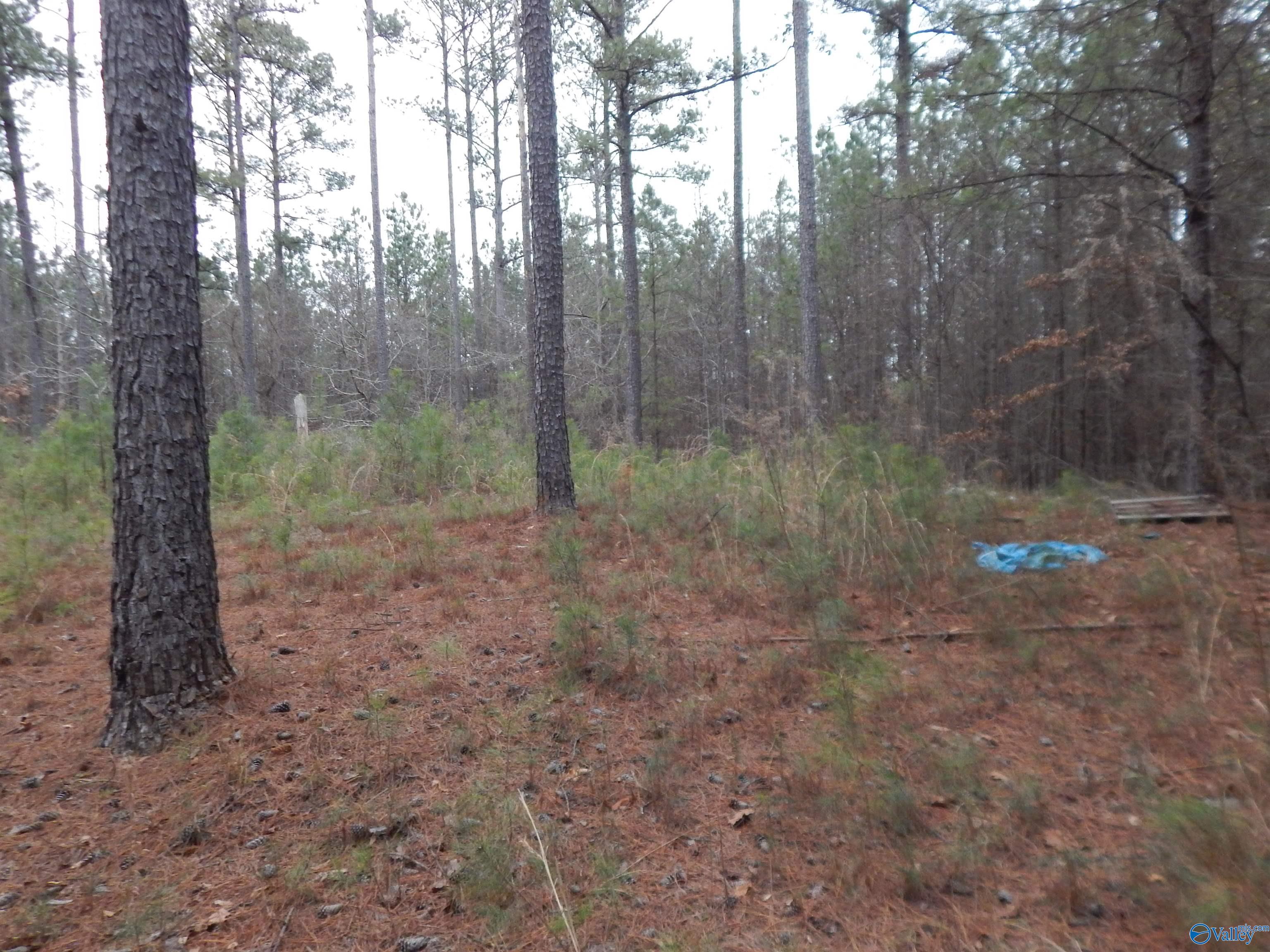 67 acres US Highway 280