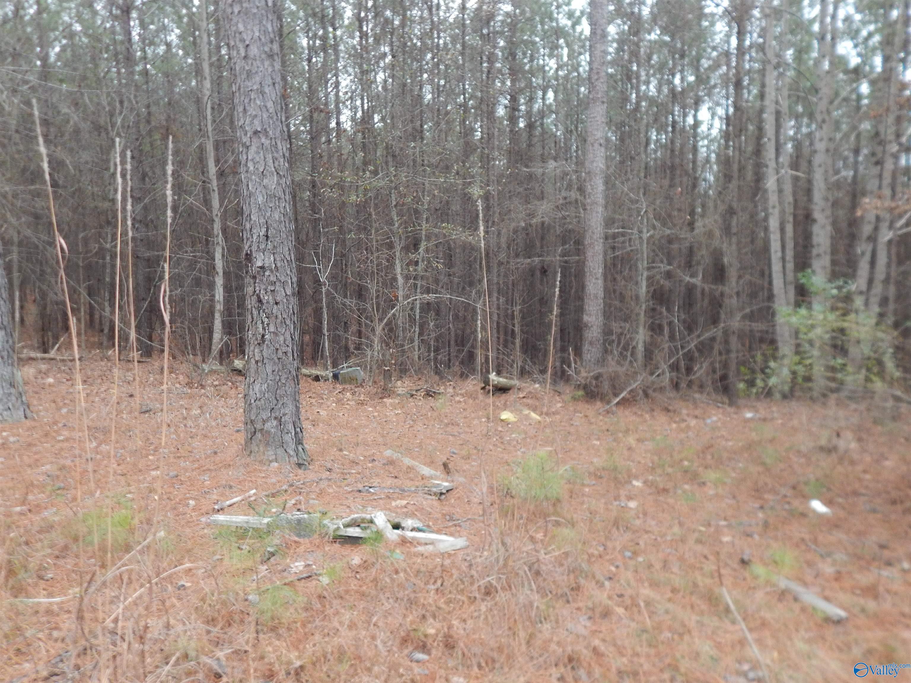 67 acres US Highway 280