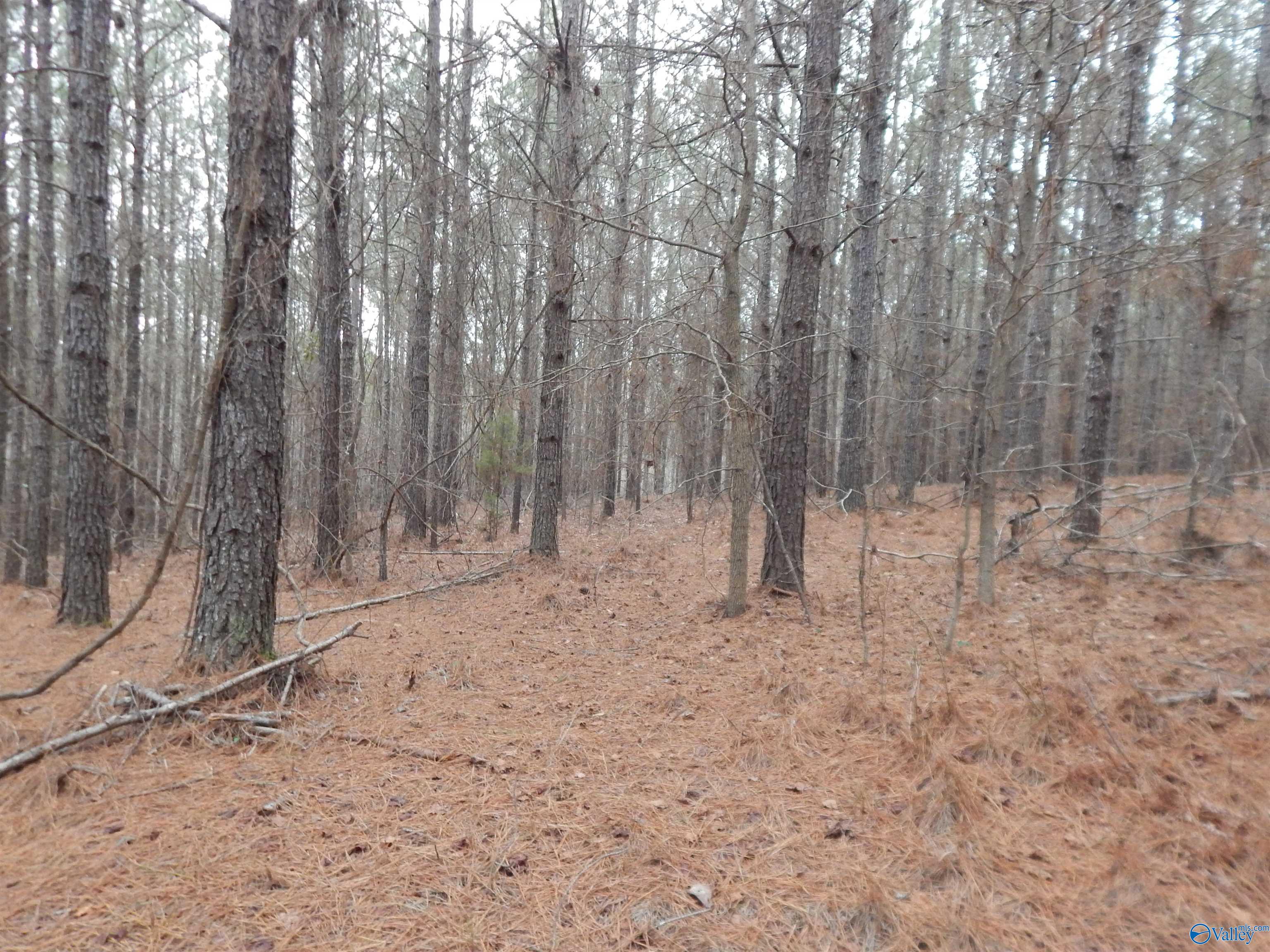 67 acres US Highway 280