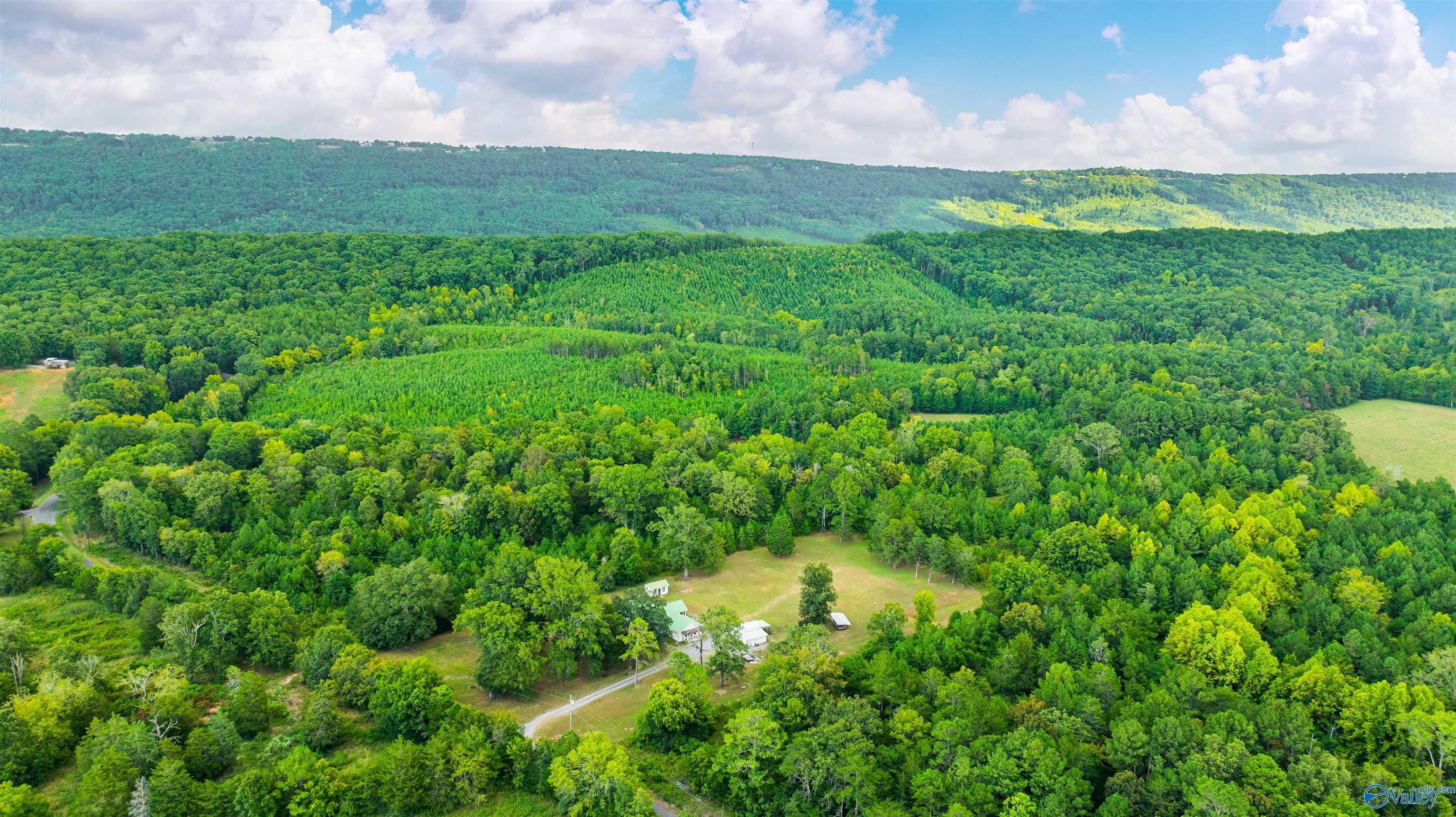 12011 County Road 137
