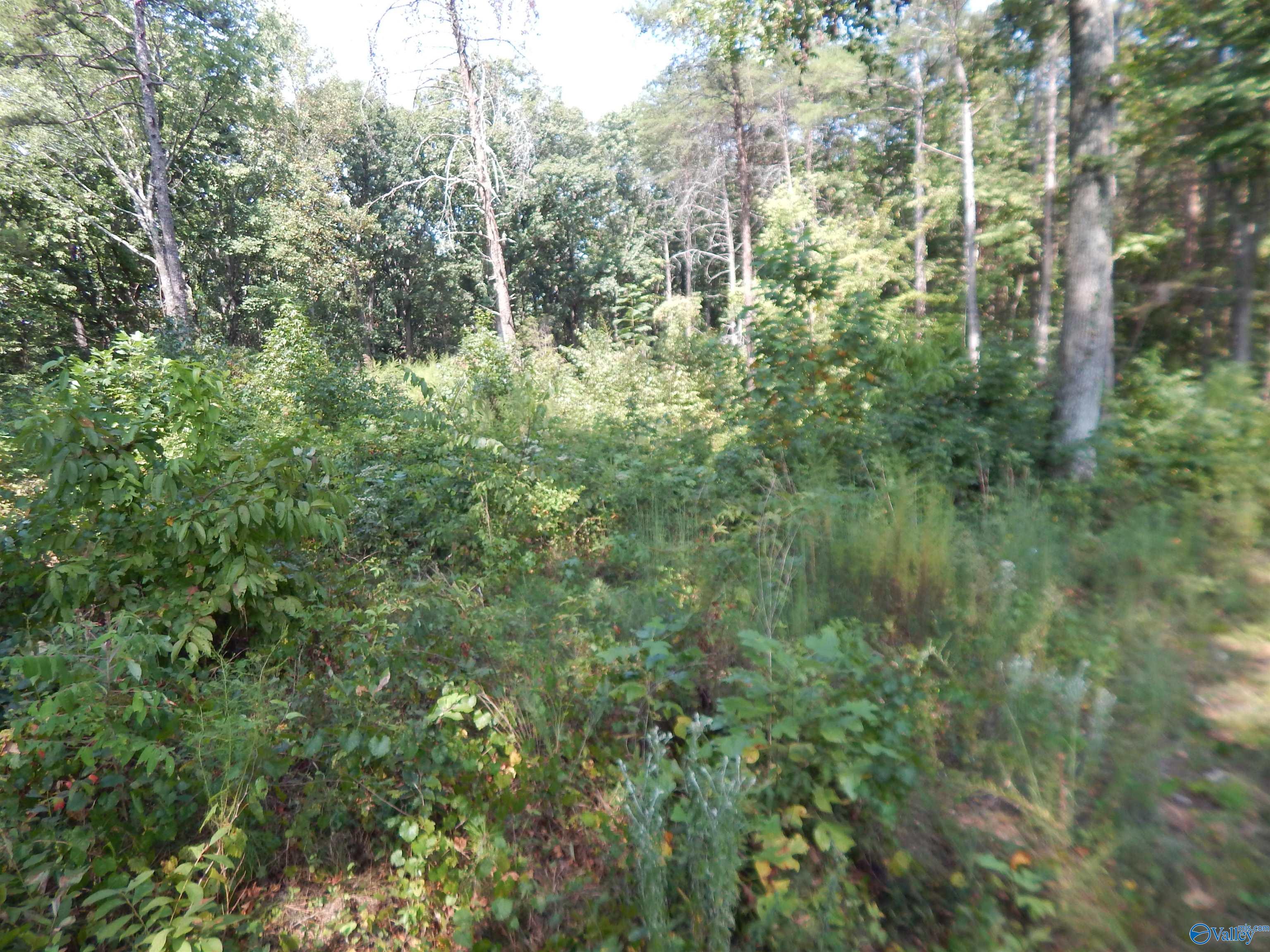 1 acre County Road 853