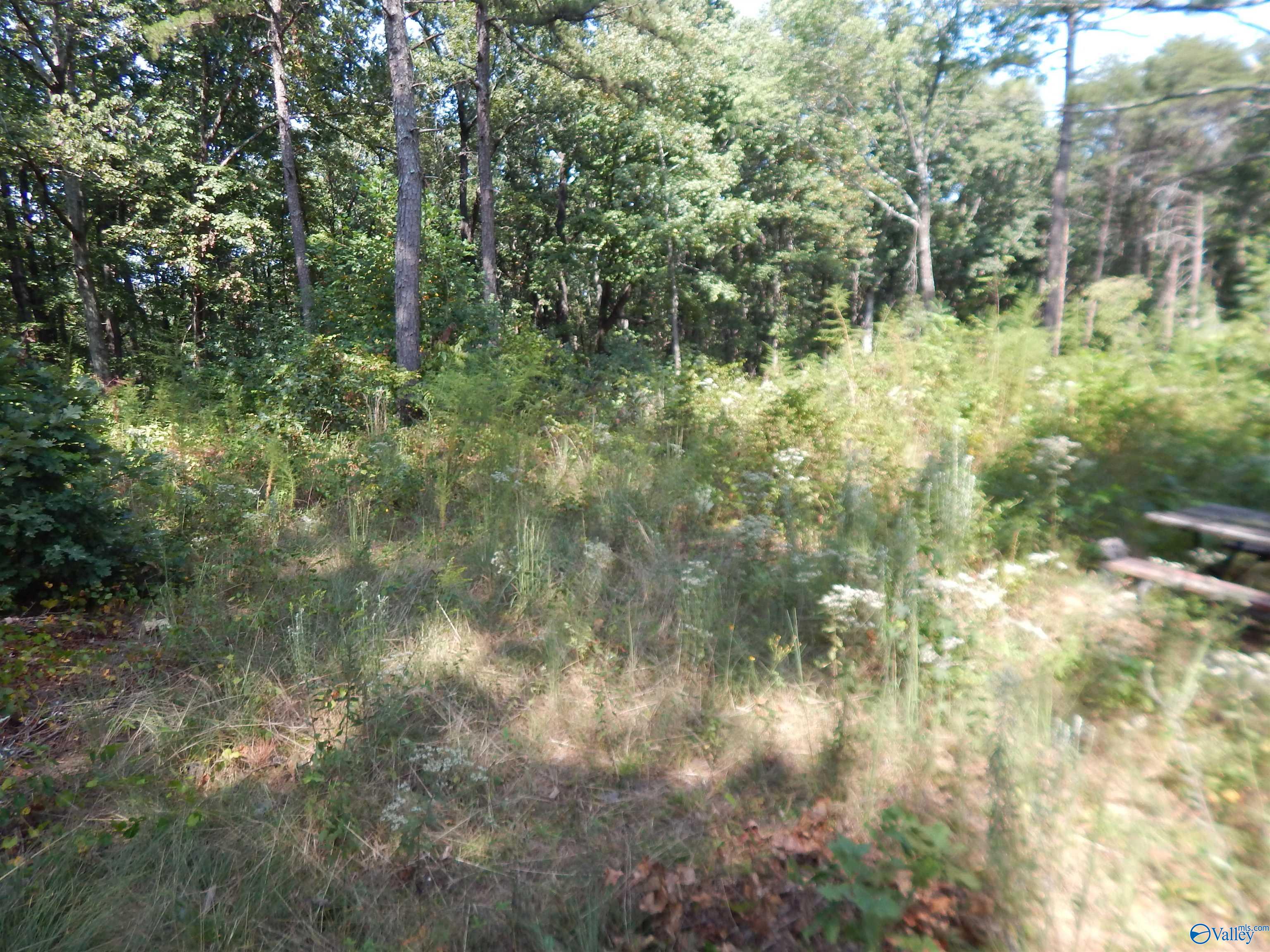 1 acre County Road 853