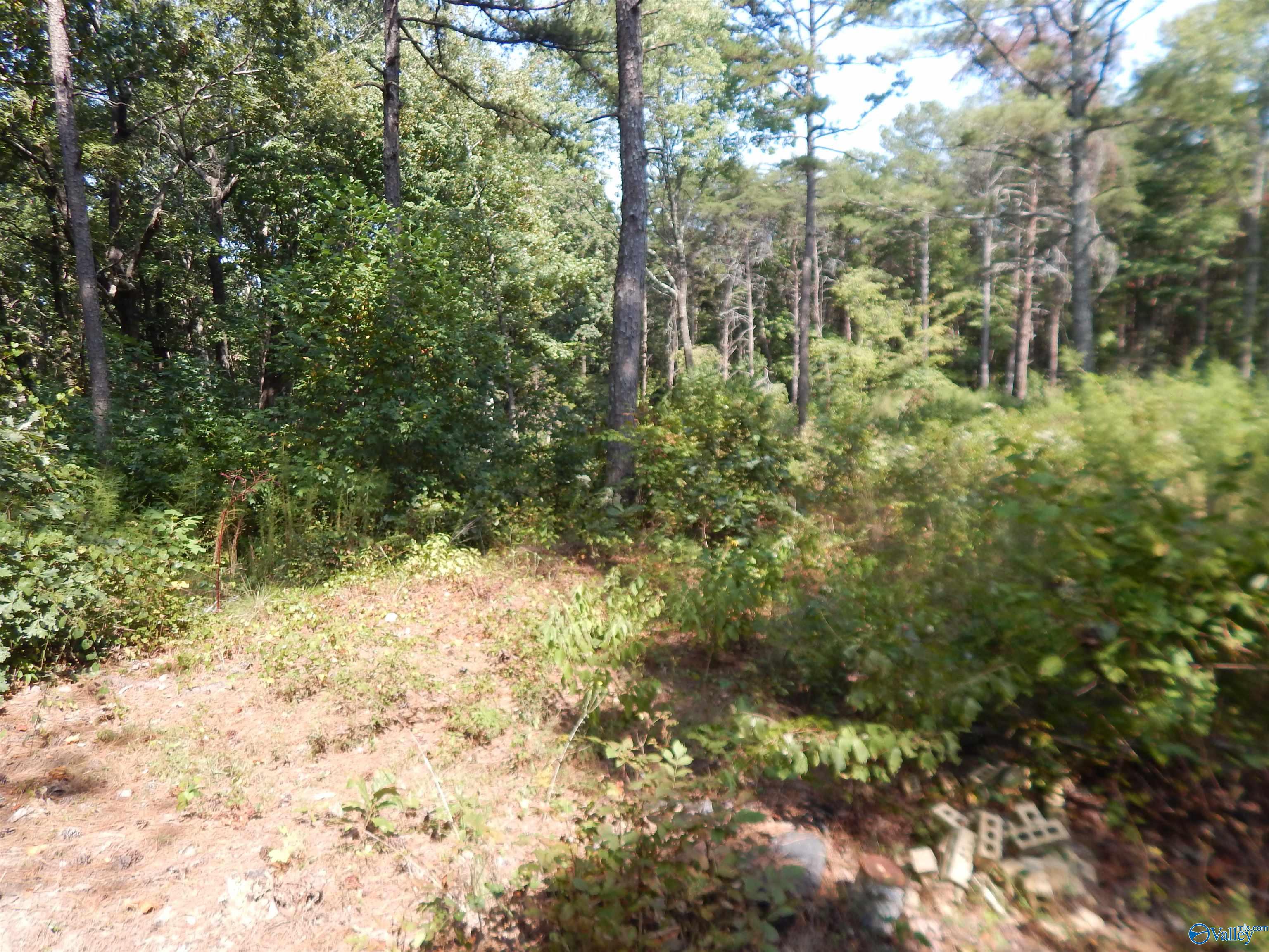 1 acre County Road 853