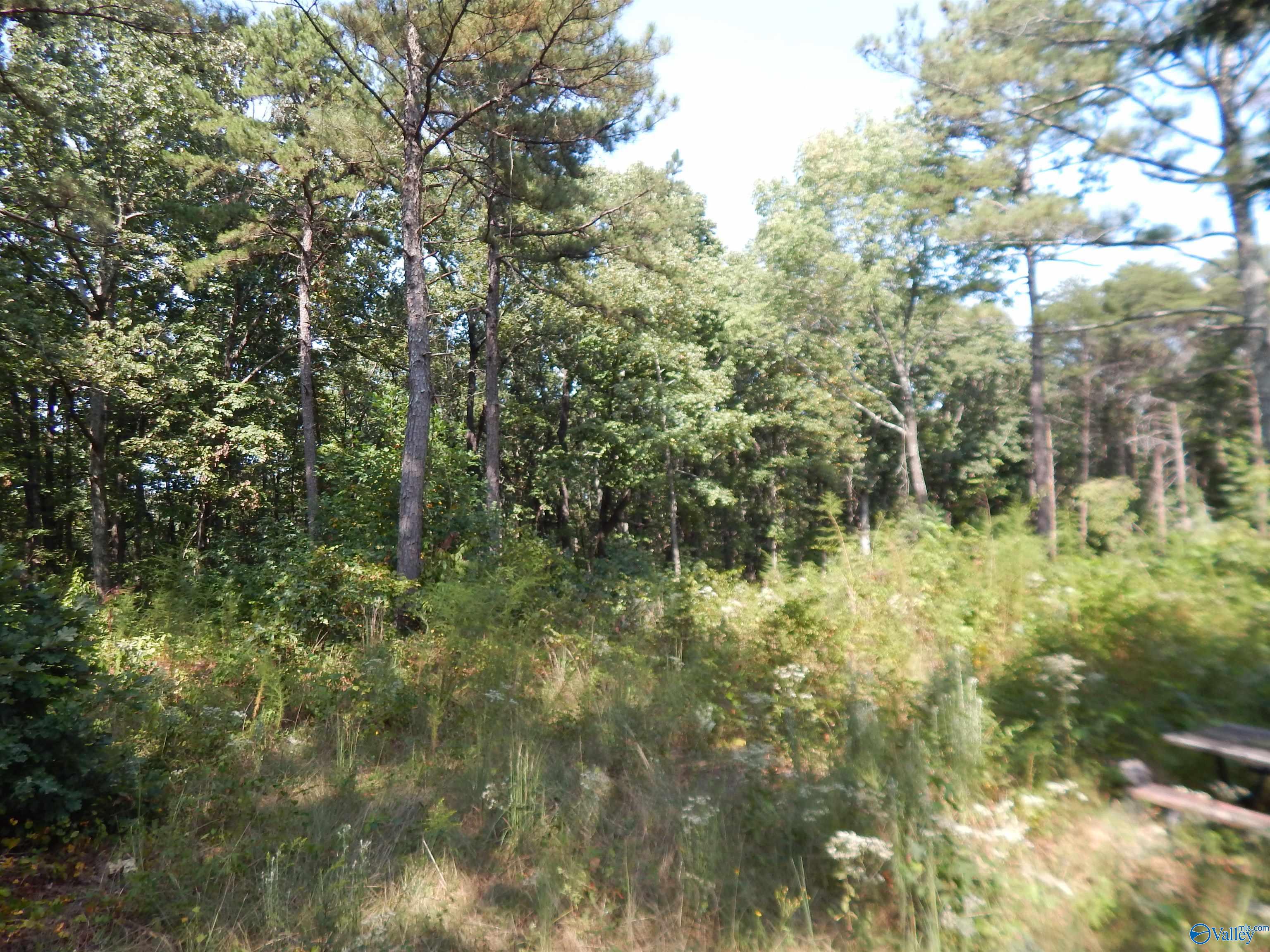 1 acre County Road 853