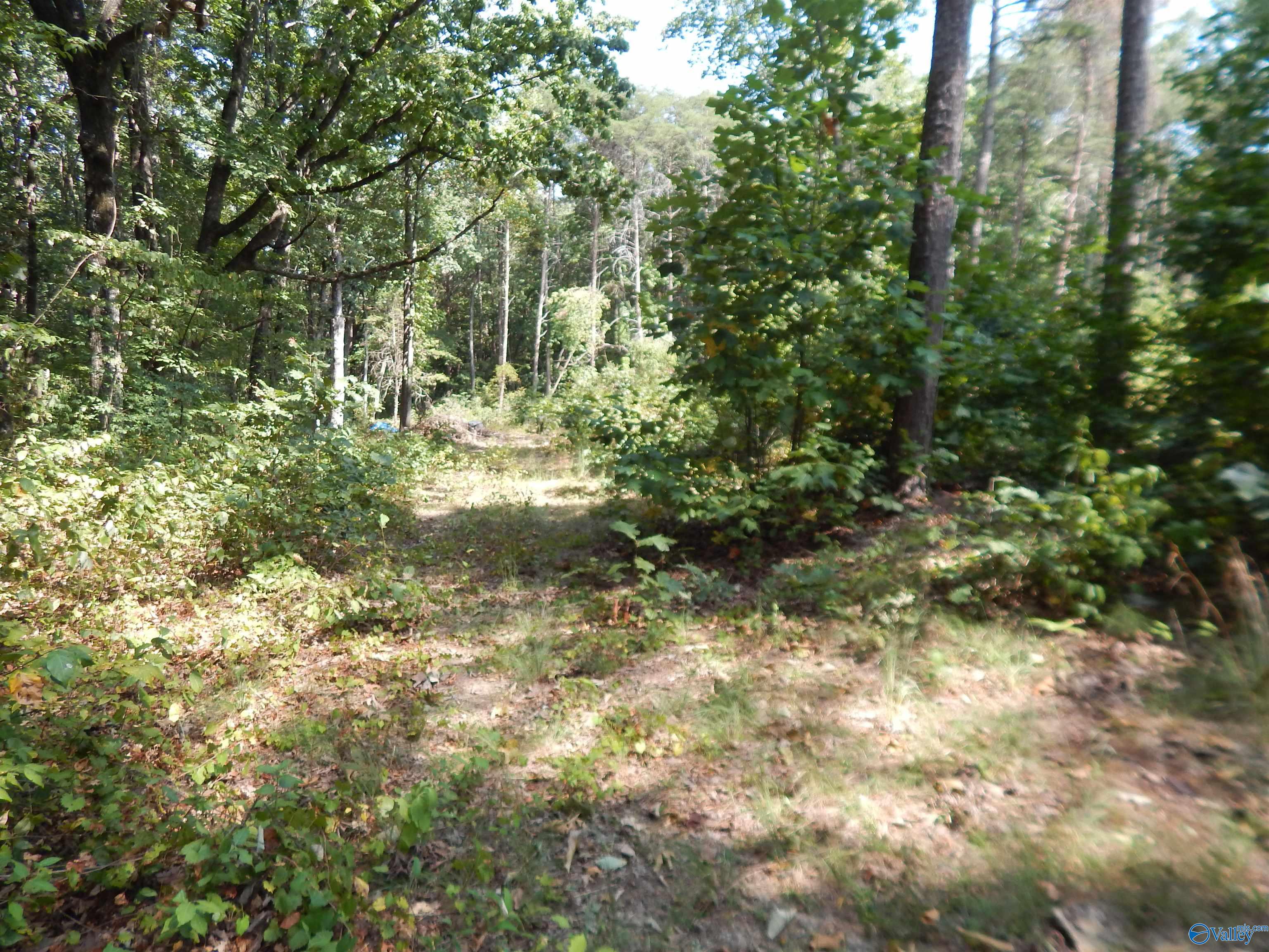1 acre County Road 853
