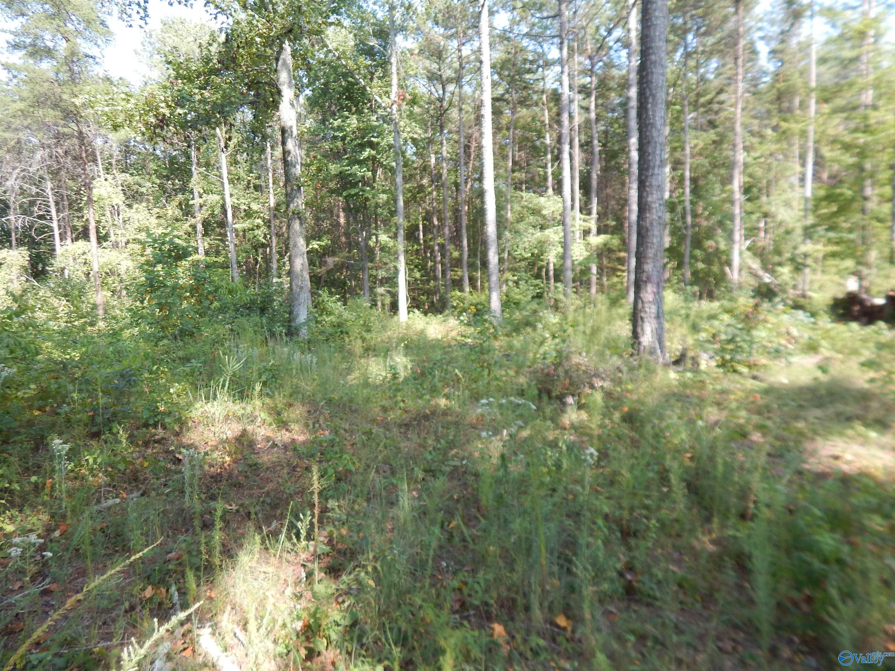1 acre County Road 853