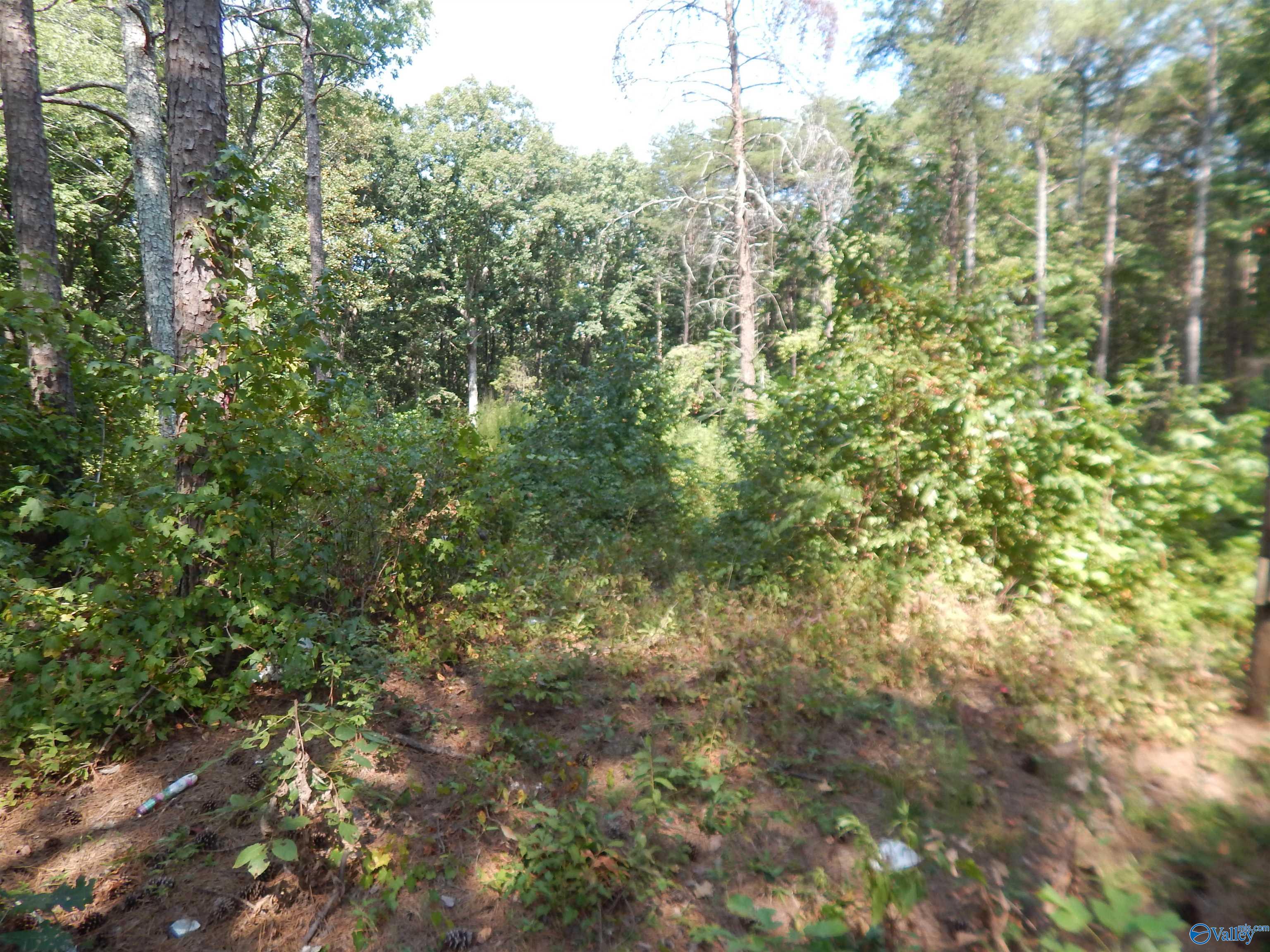 1 acre County Road 853