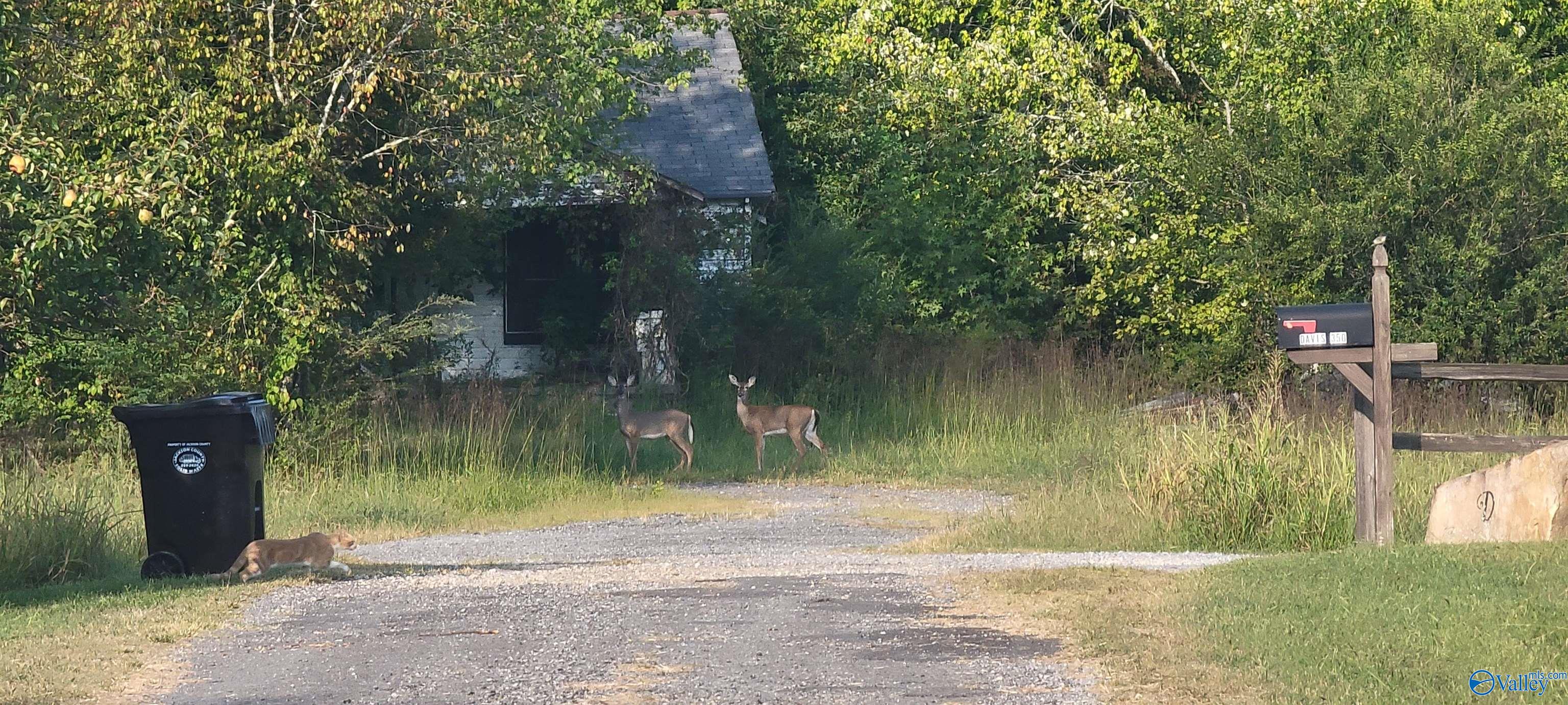 304 County Road 720