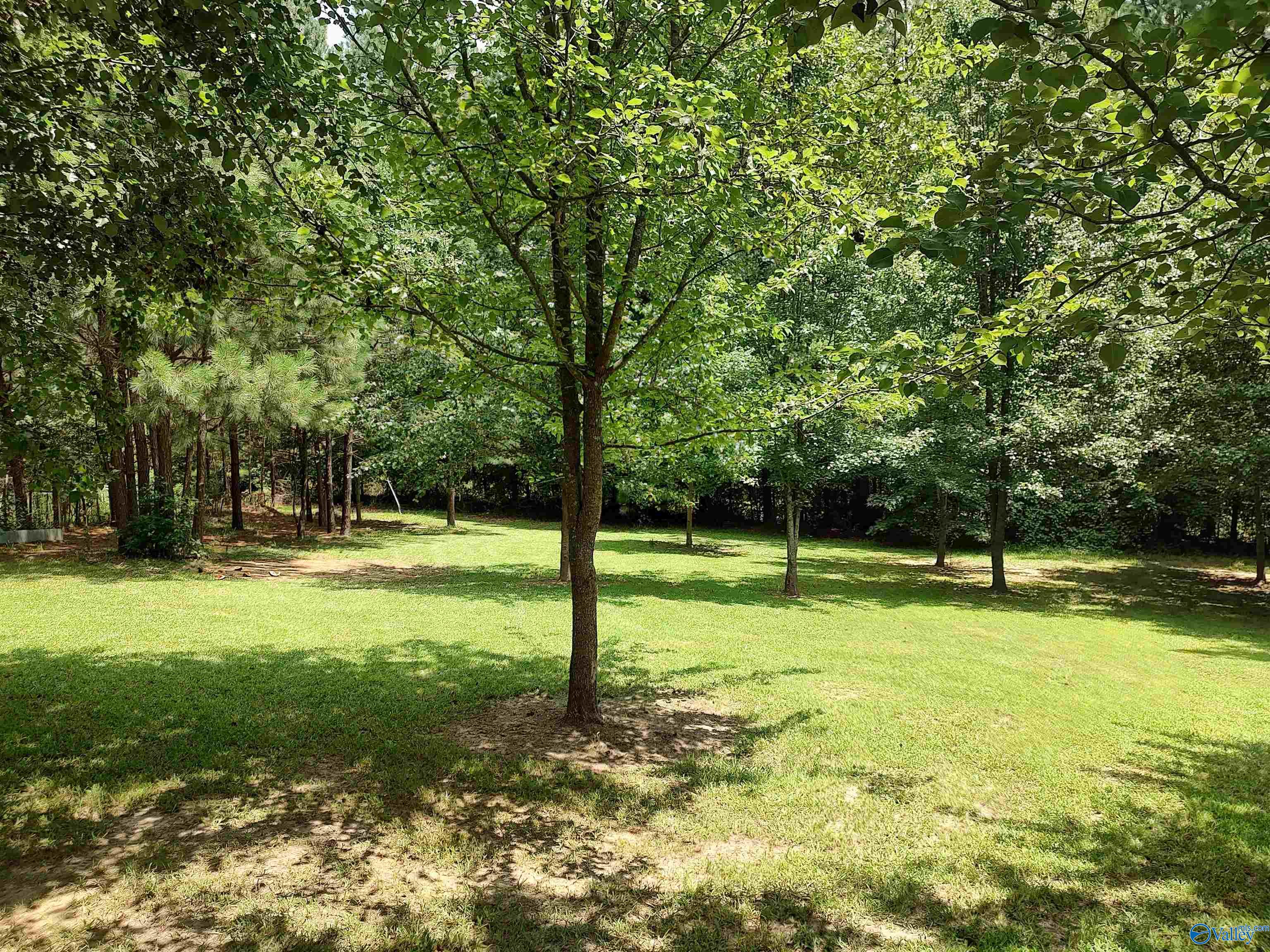 1295 County Road 52