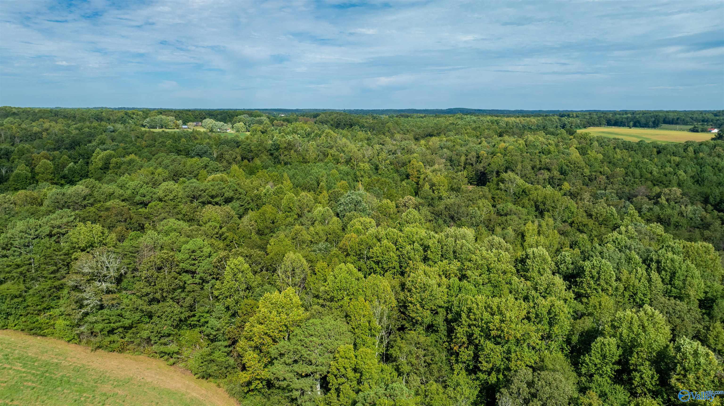 20.3 Acres County Road 589