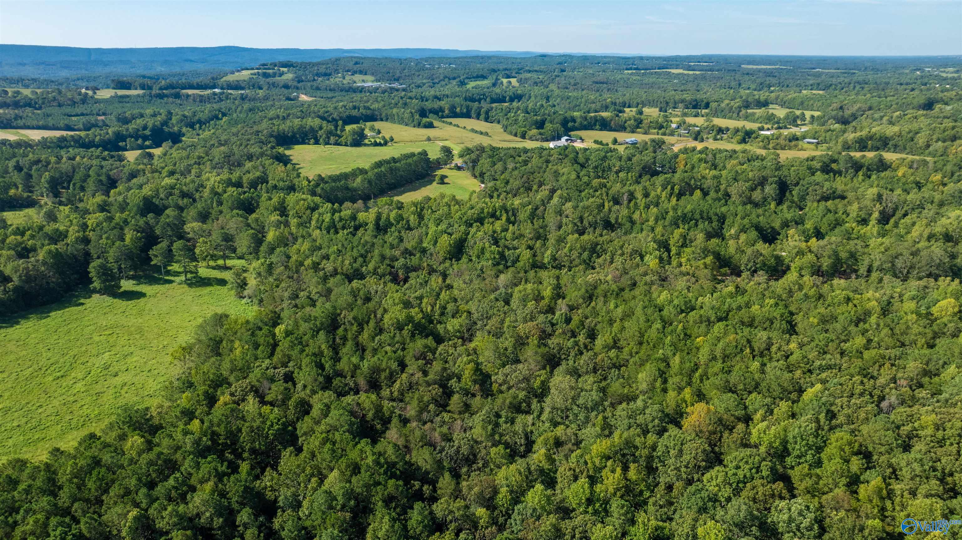 20.3 Acres County Road 589