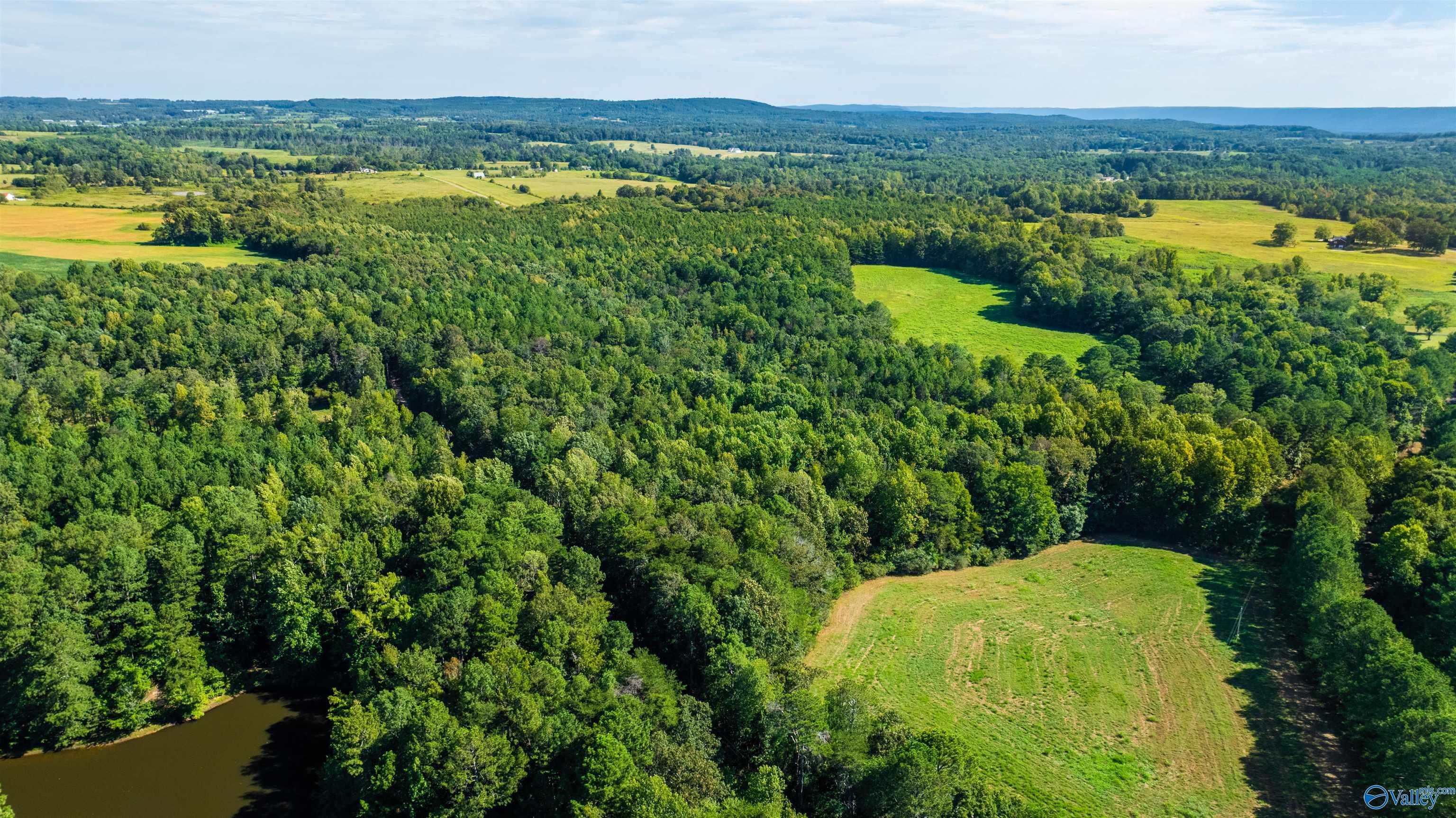 20.3 Acres County Road 589
