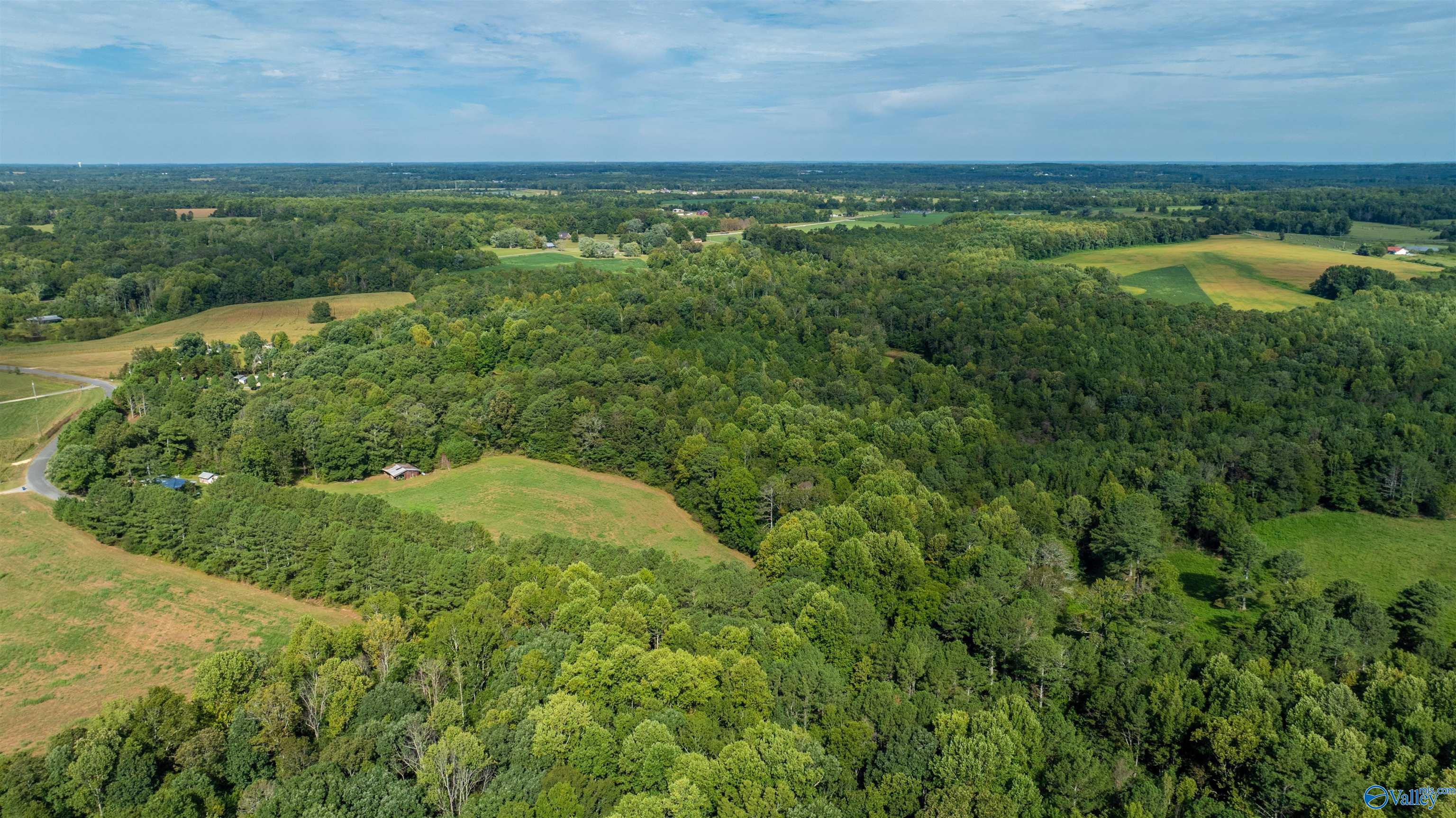 20.3 Acres County Road 589