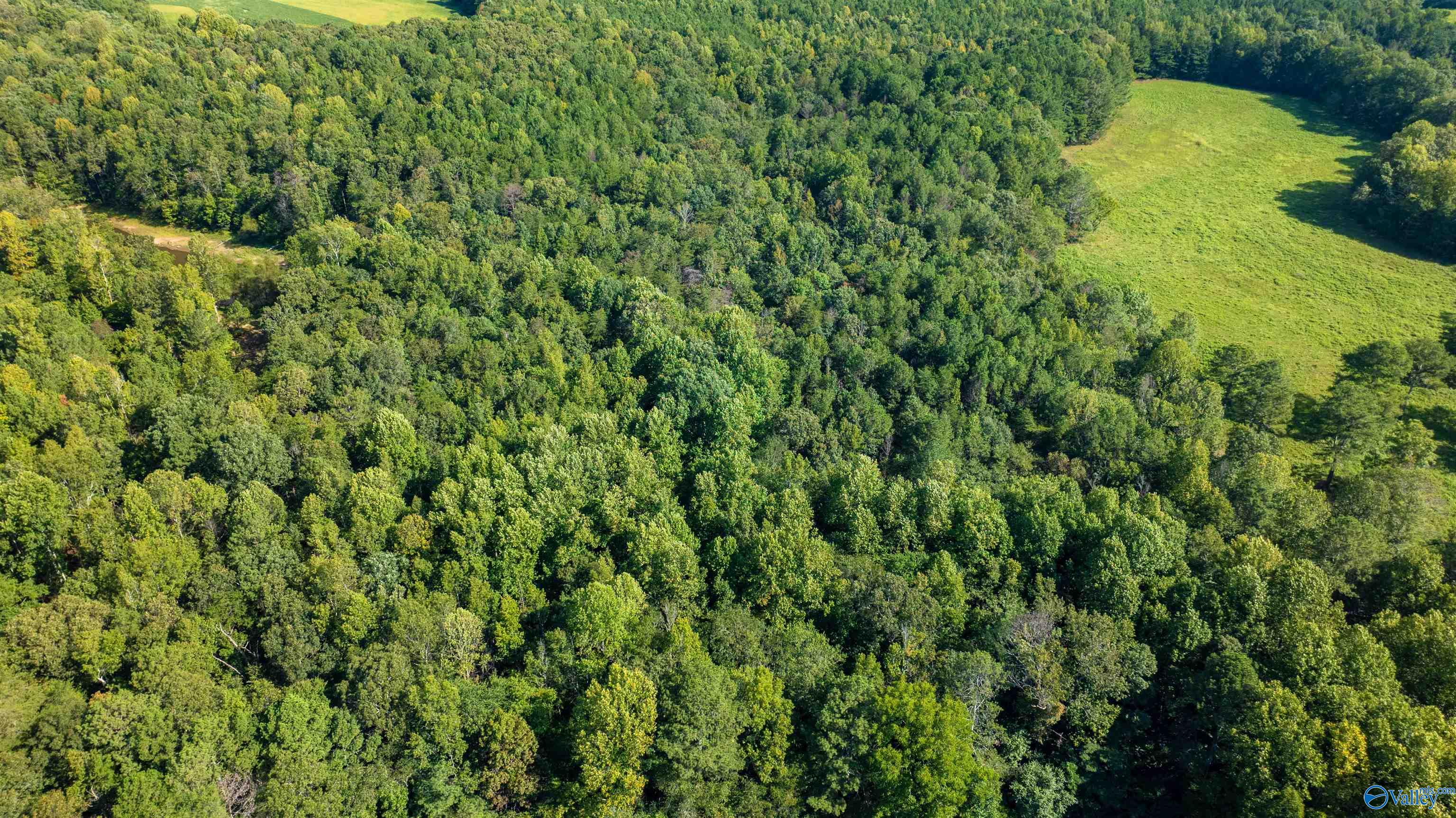 20.3 Acres County Road 589