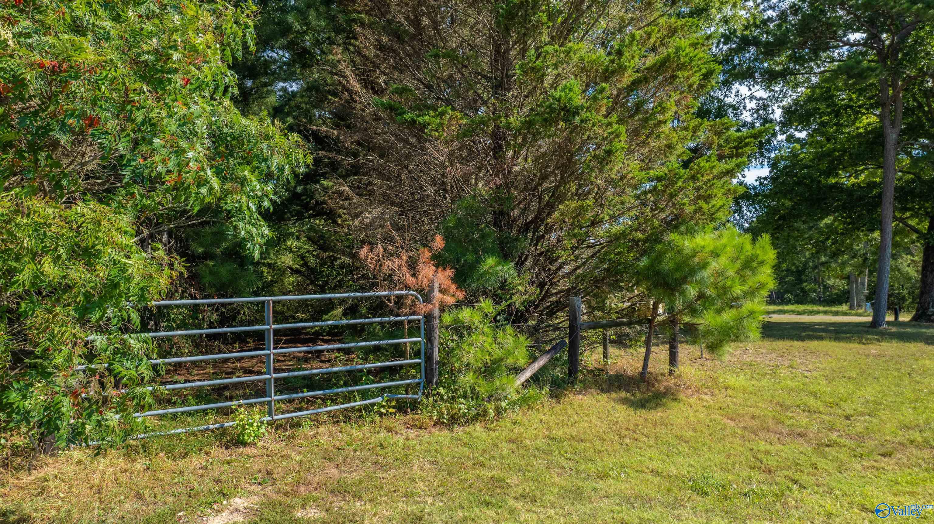 20.3 Acres County Road 589