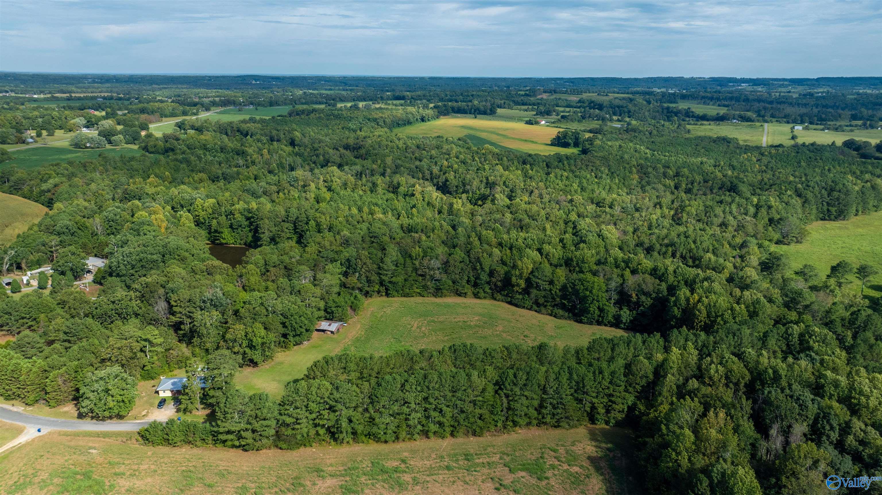 20.3 Acres County Road 589