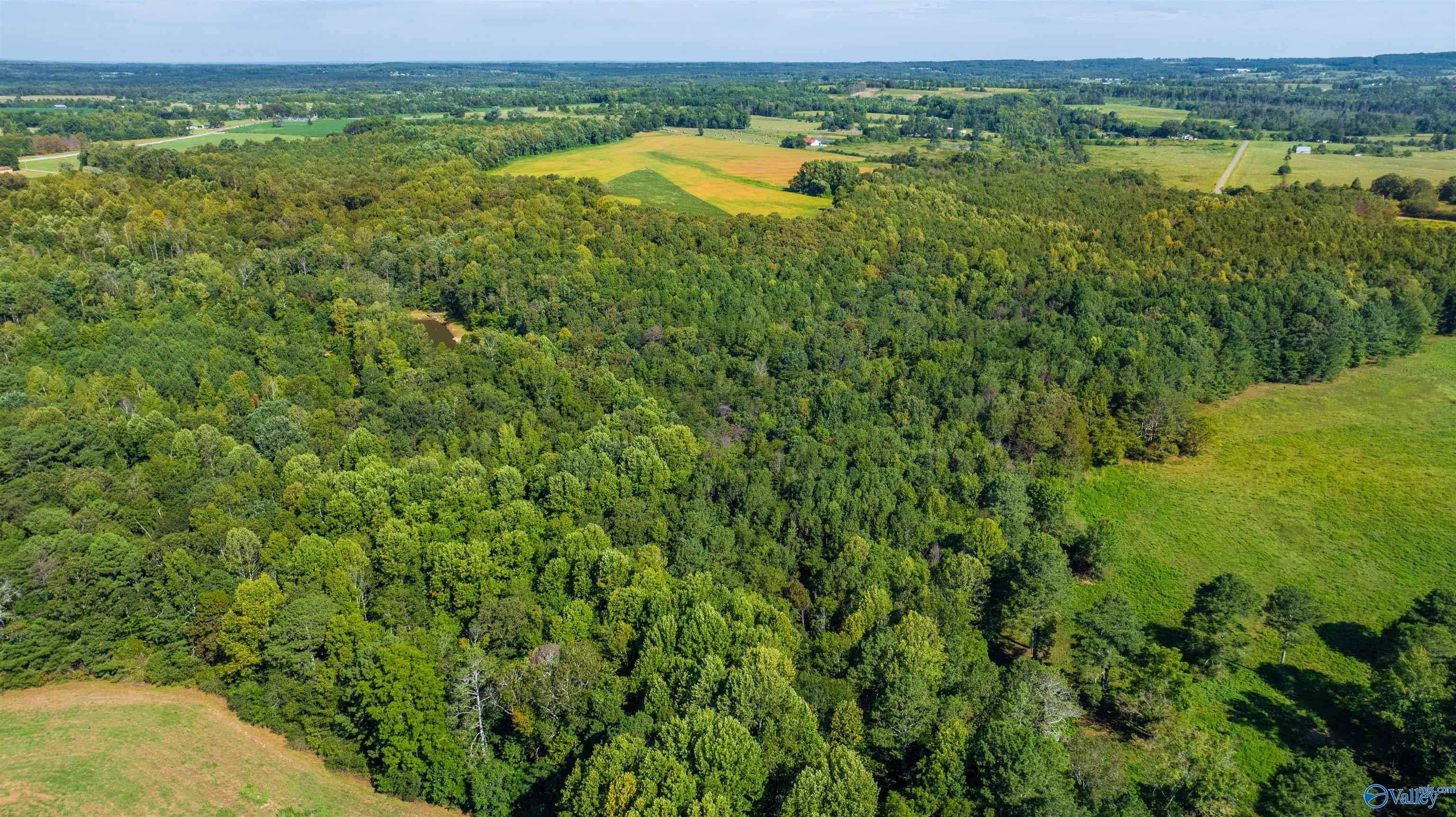 20.3 Acres County Road 589