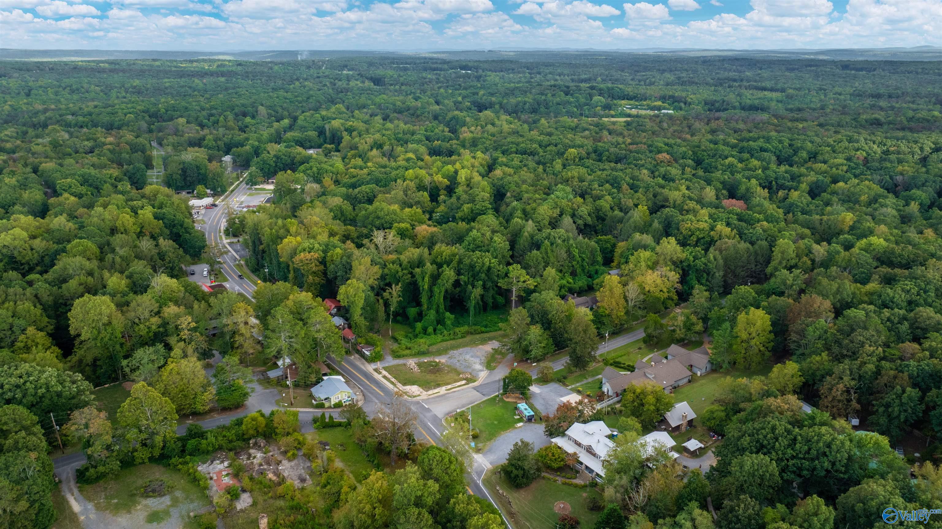 6081 Alabama Highway 117