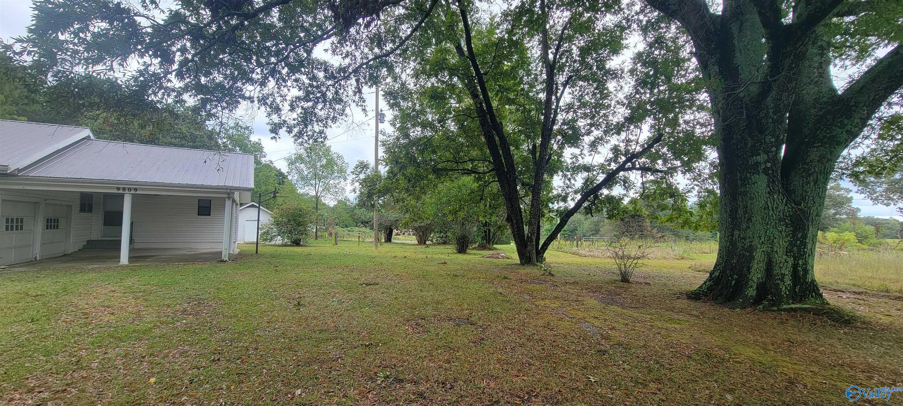 9809 Alabama Highway 75
