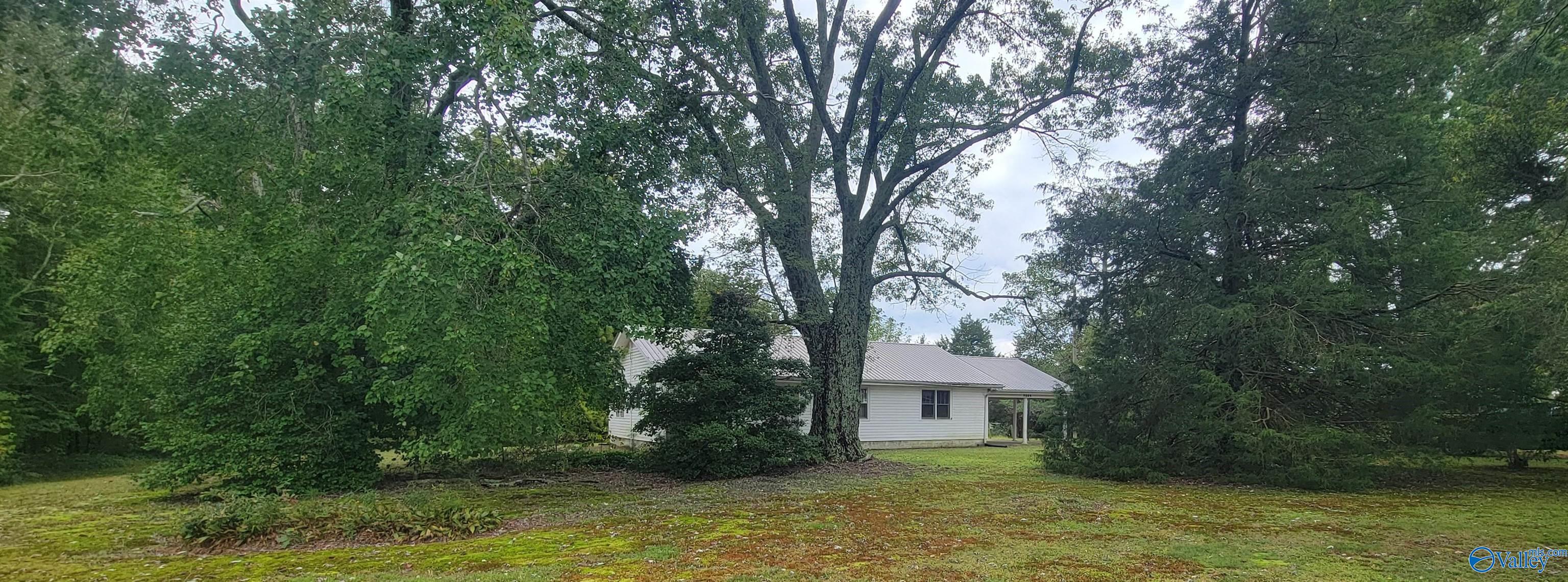 9809 Alabama Highway 75