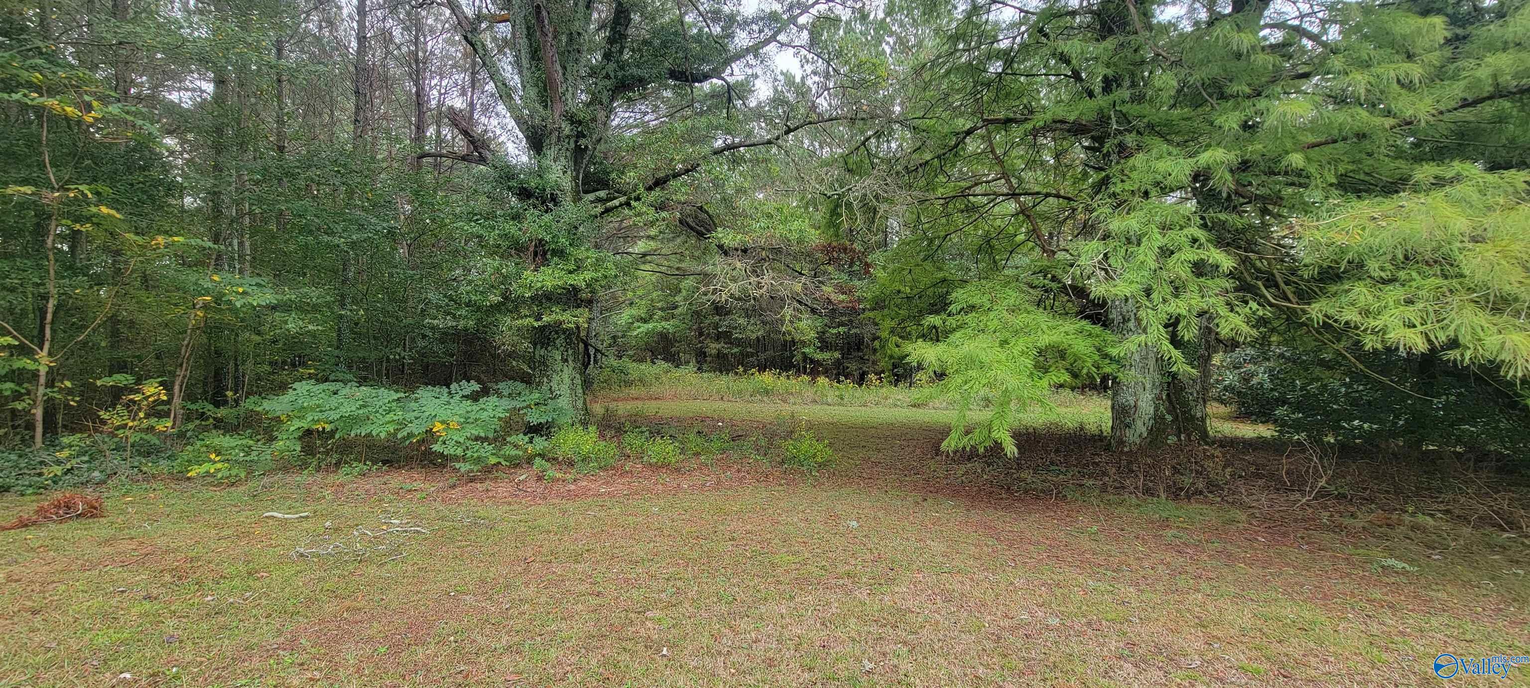 9809 Alabama Highway 75