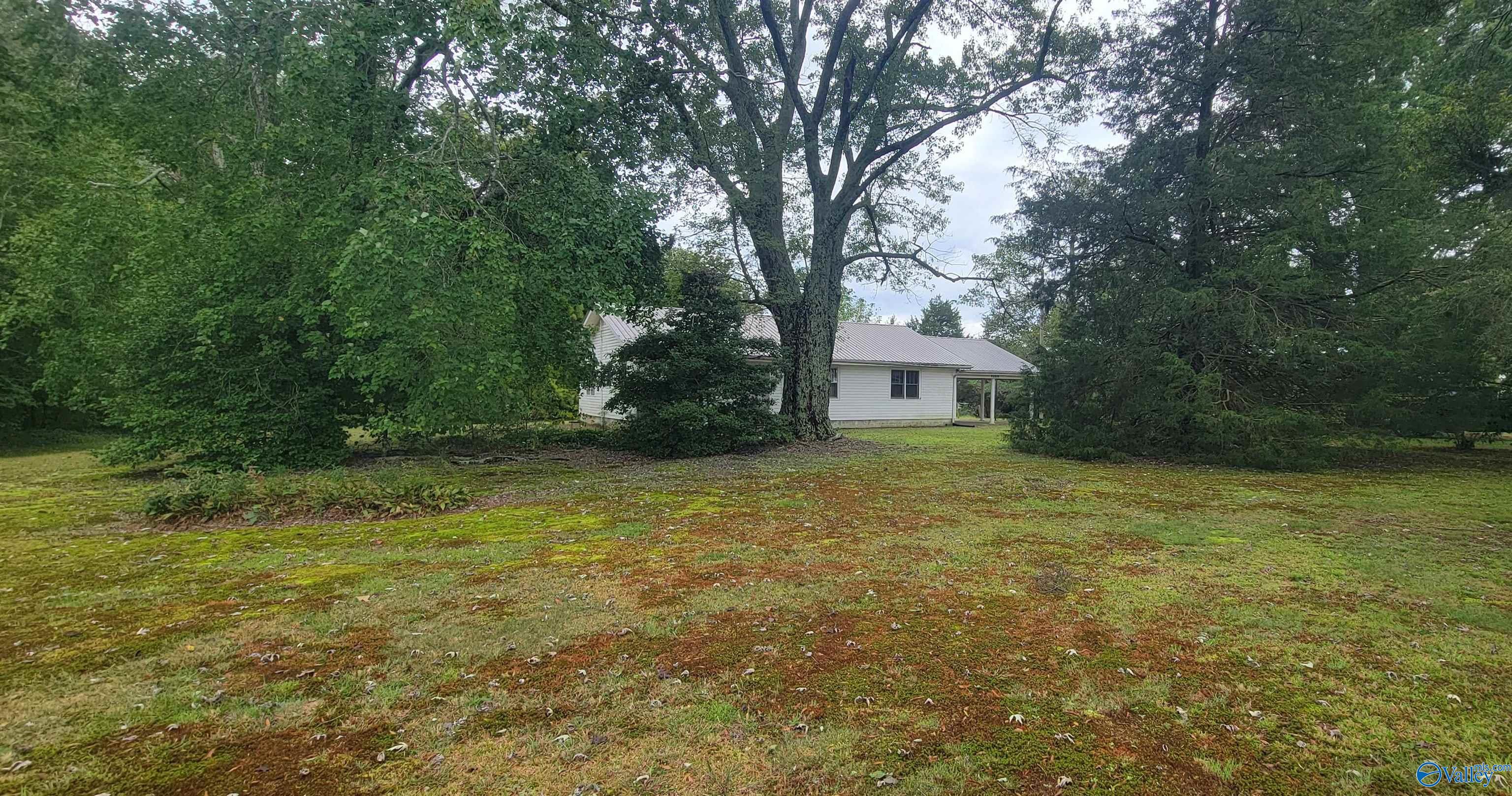 9809 Alabama Highway 75