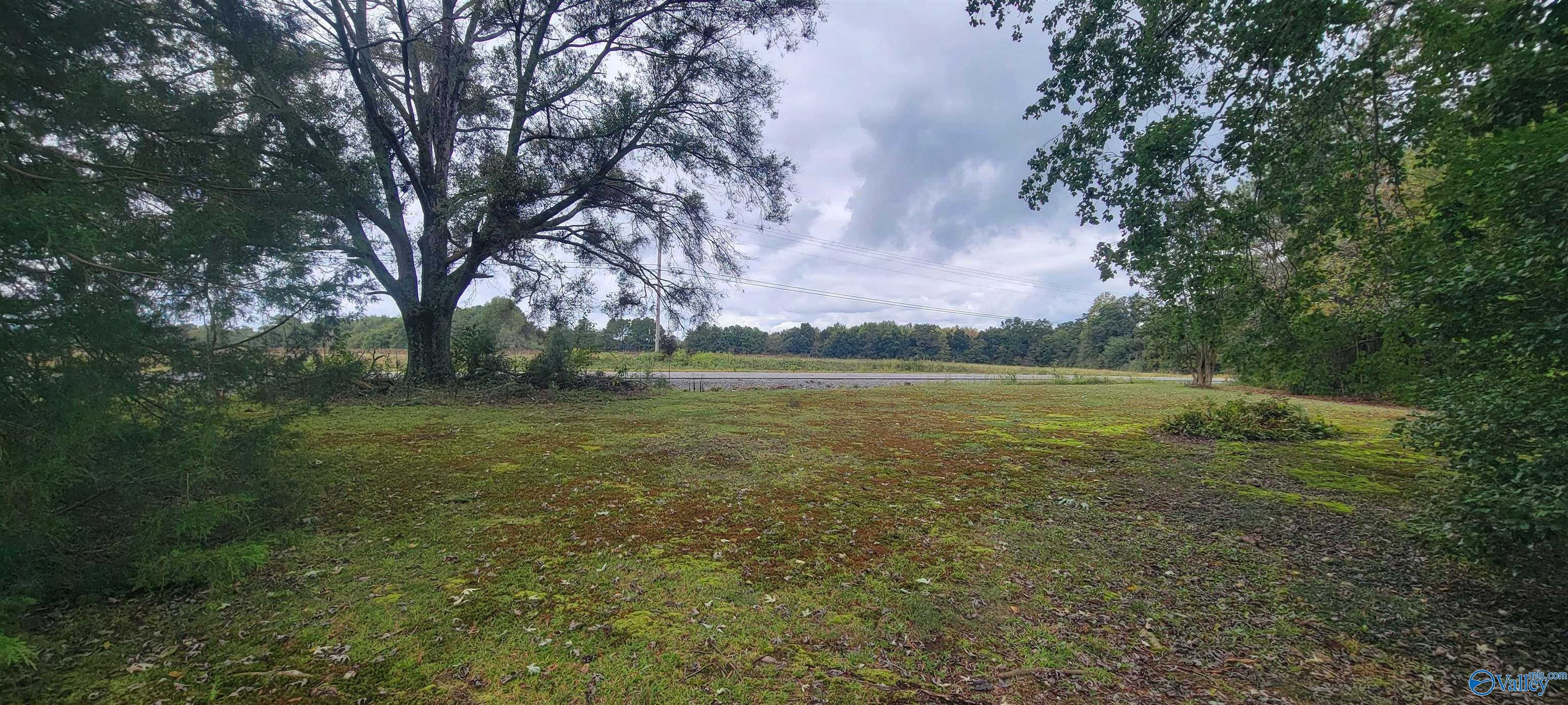 9809 Alabama Highway 75