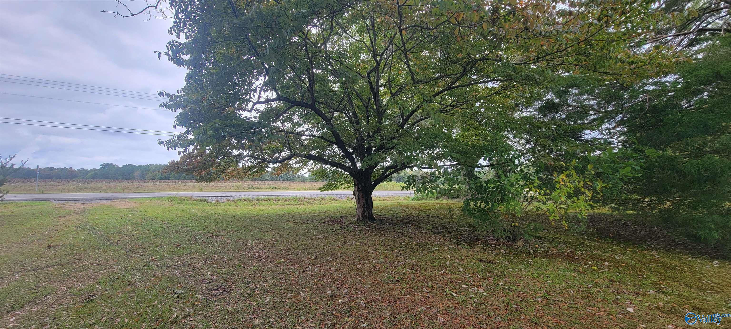 9809 Alabama Highway 75