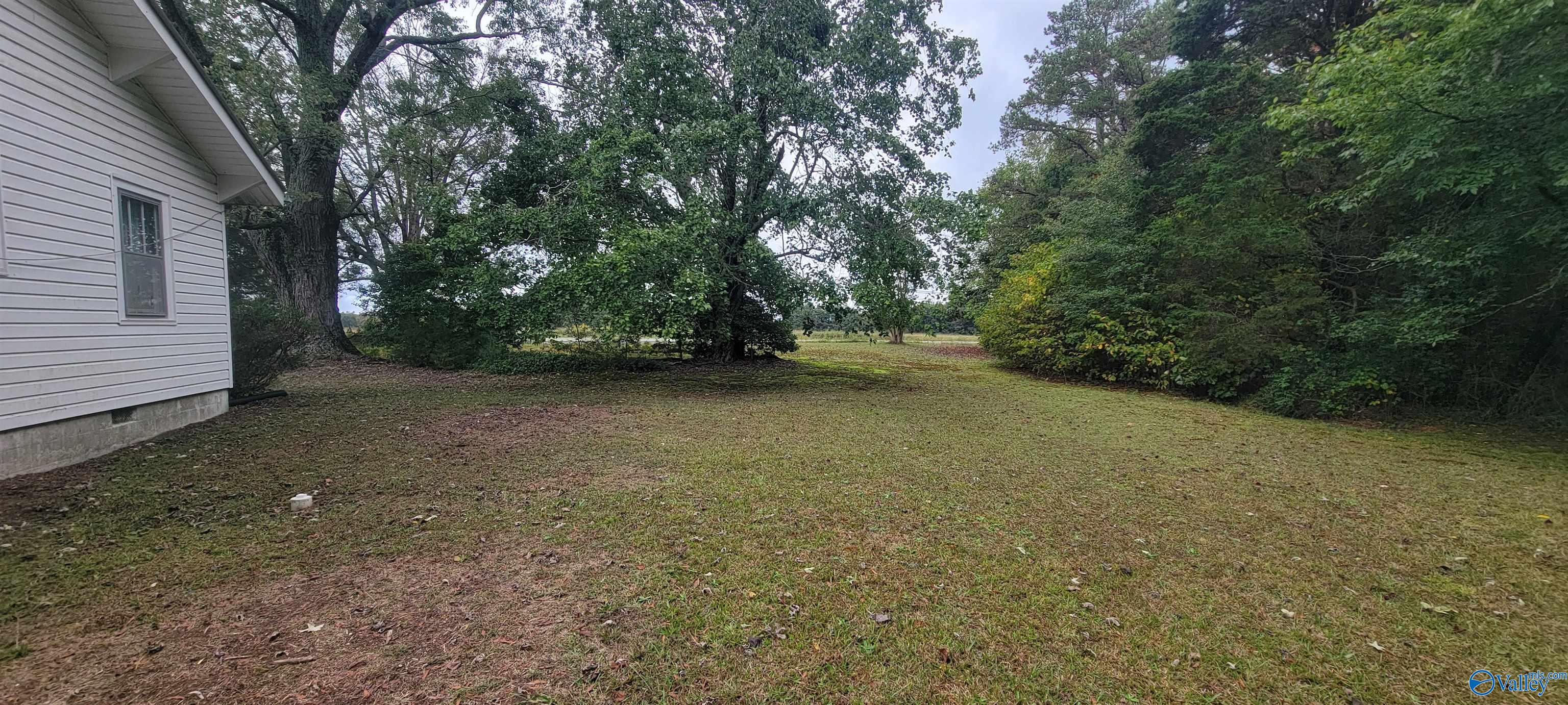 9809 Alabama Highway 75