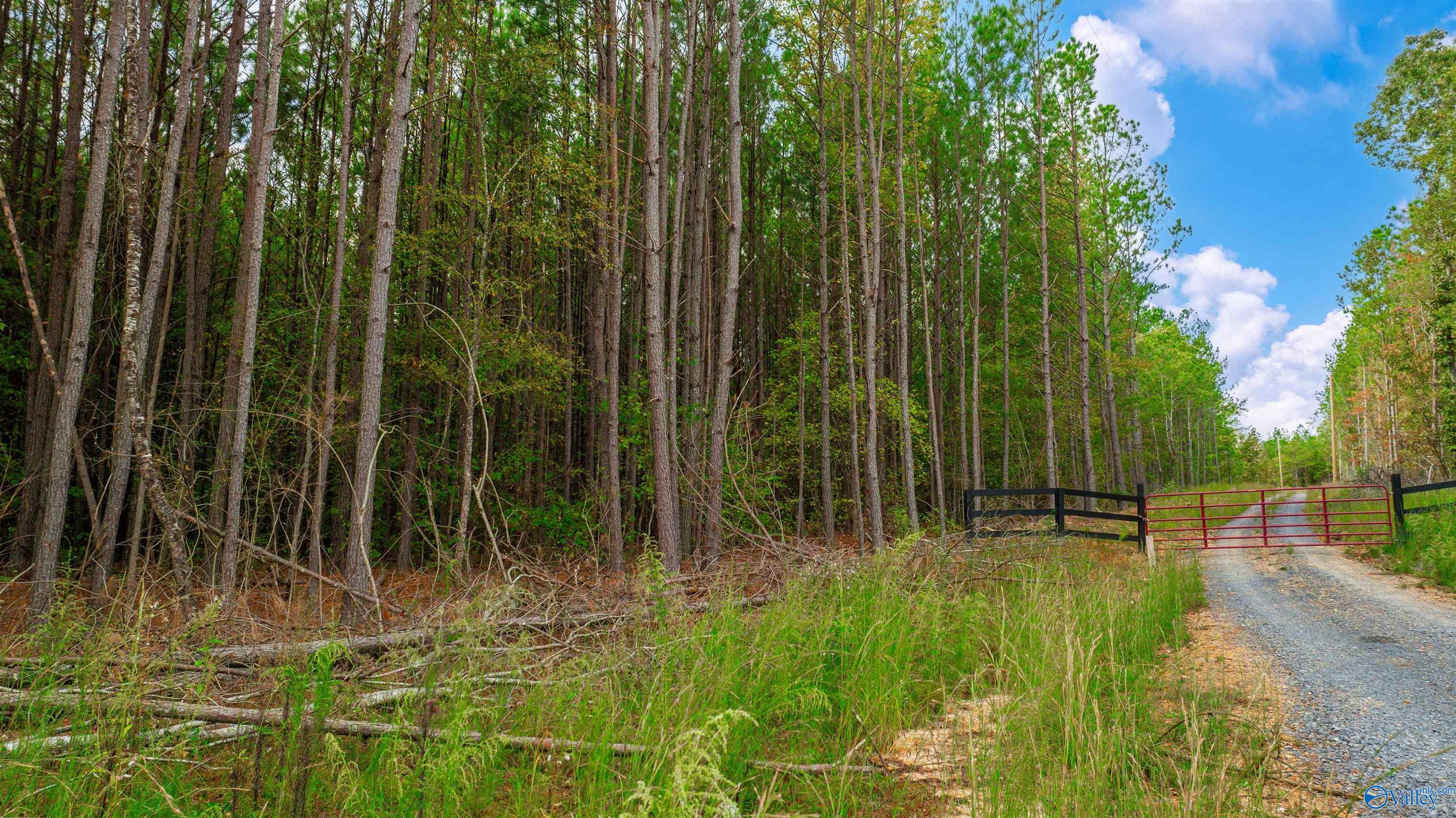 5755 County Road 91