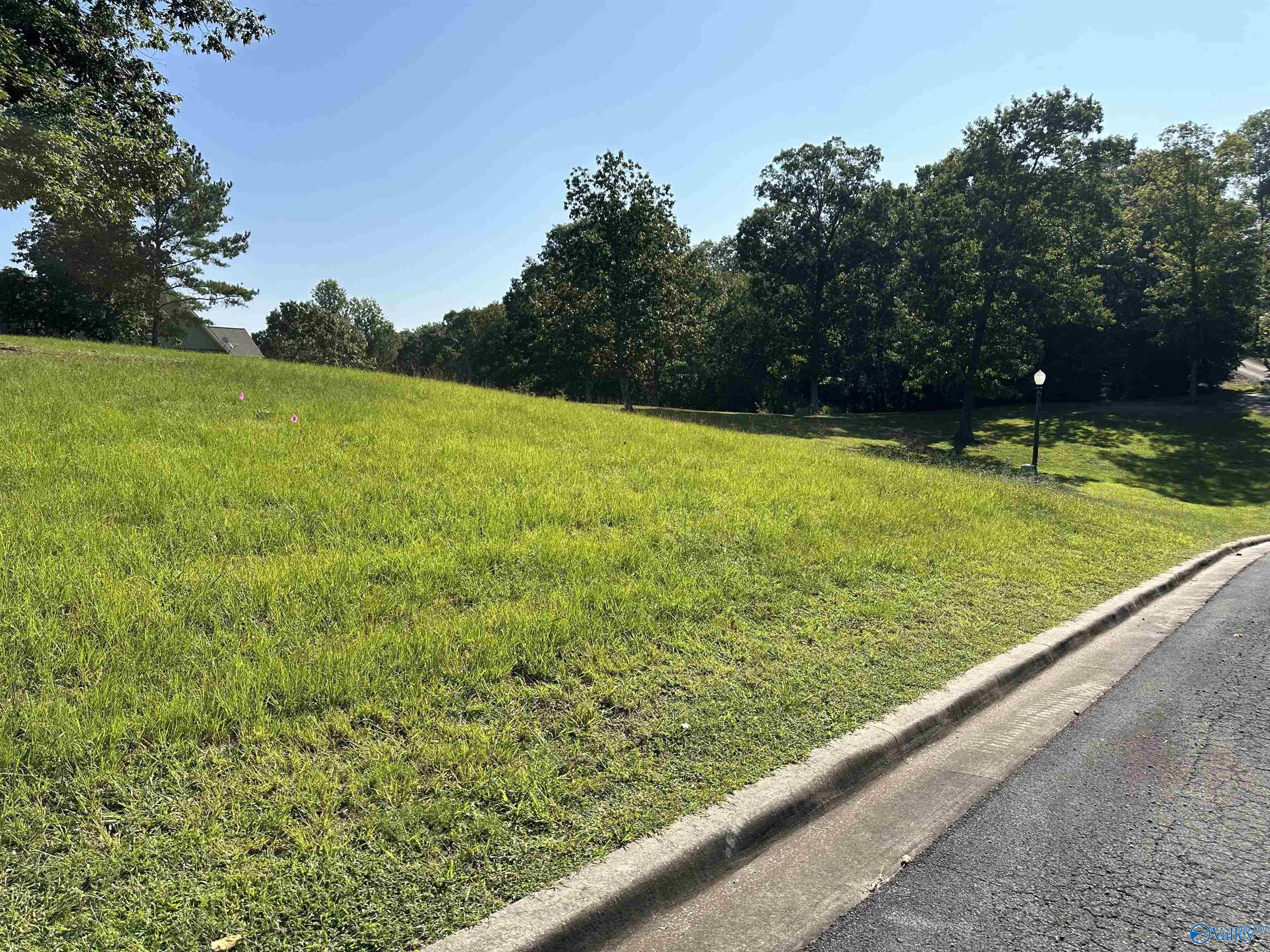 Lot 16 County Road 1027