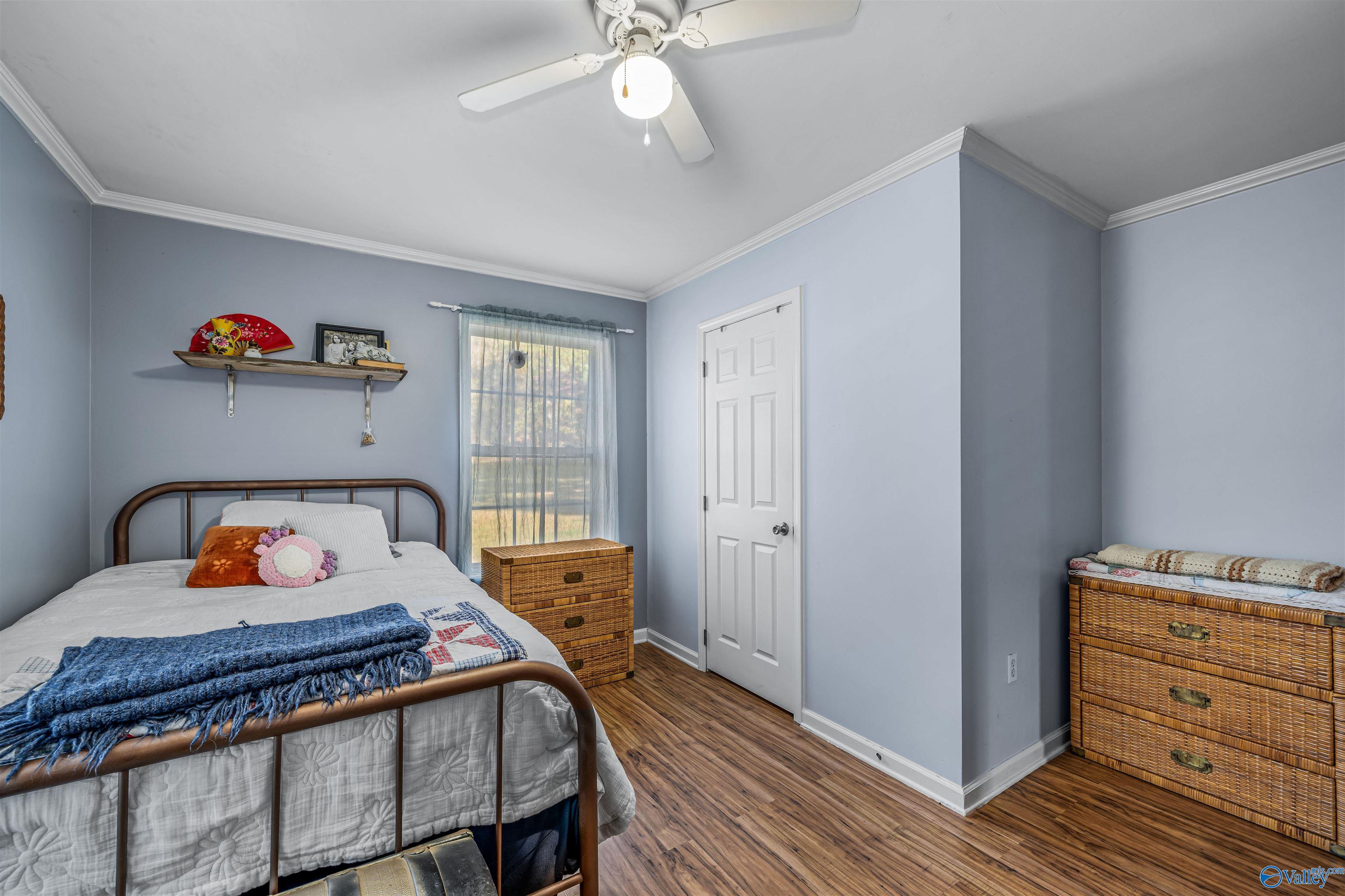 496 County Road 81