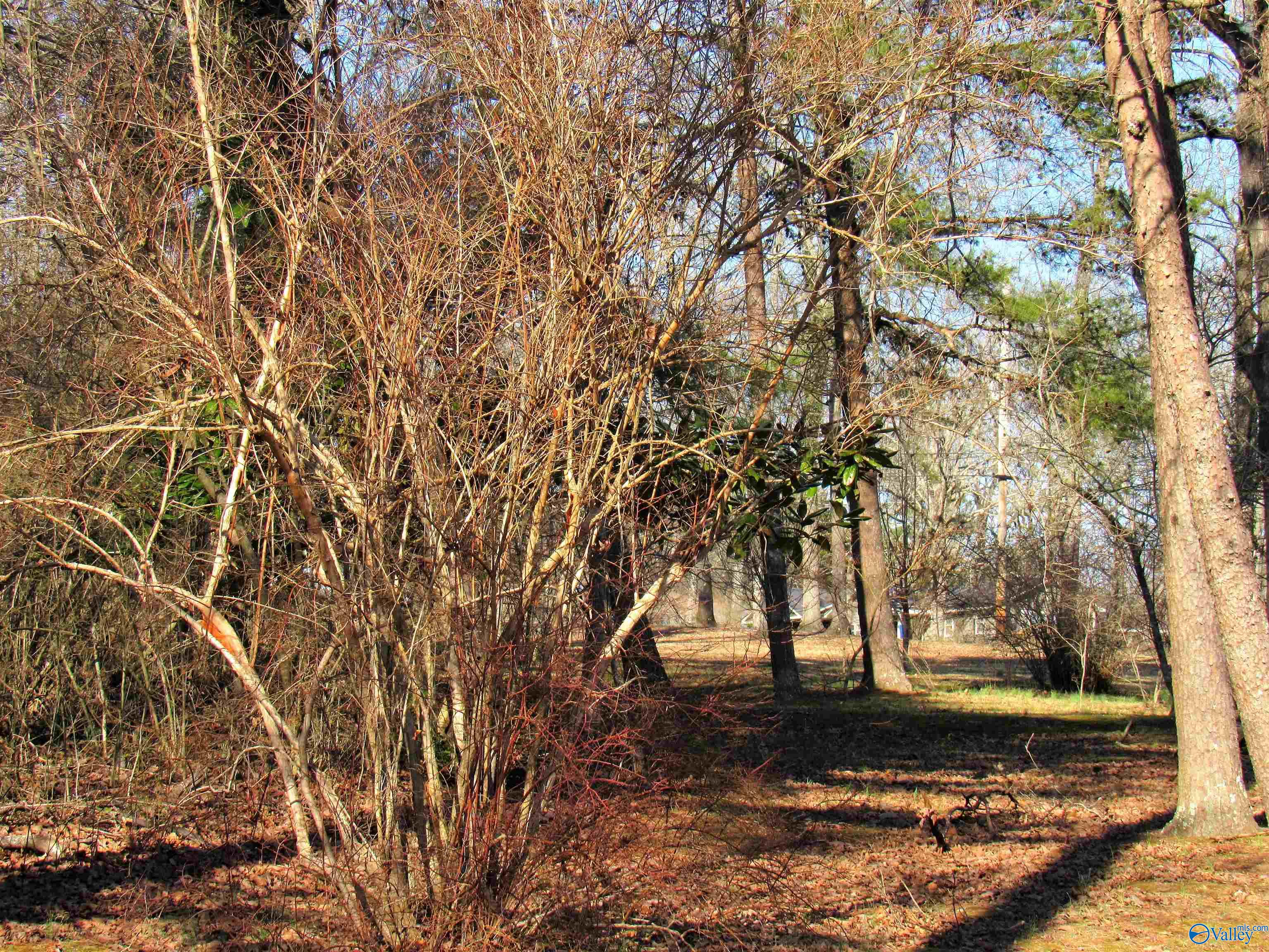 Lot 4 Alabama Highway 117