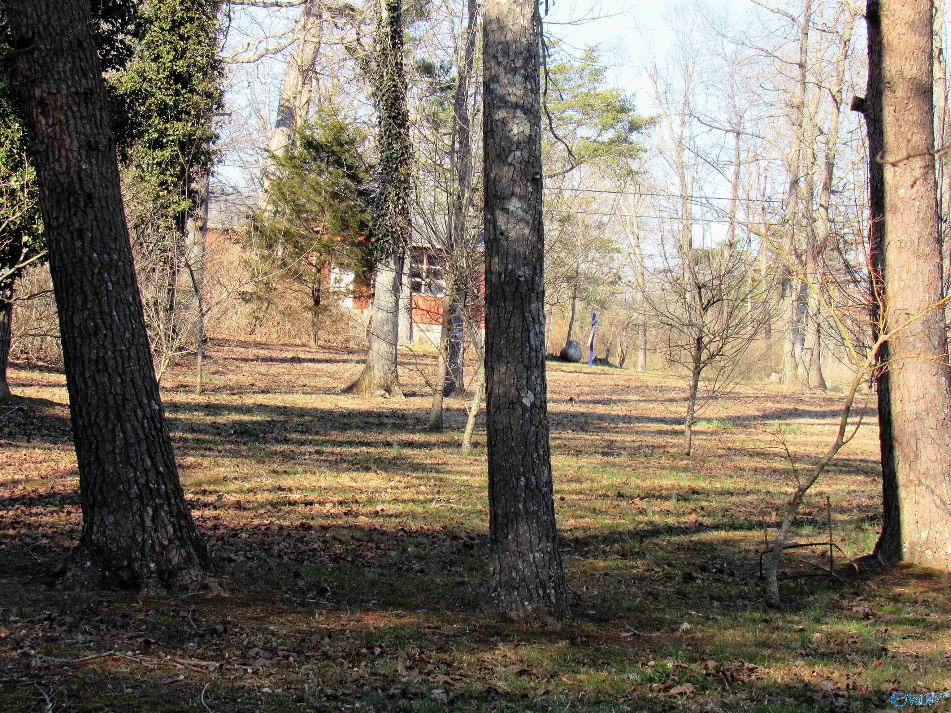 Lot 4 Alabama Highway 117