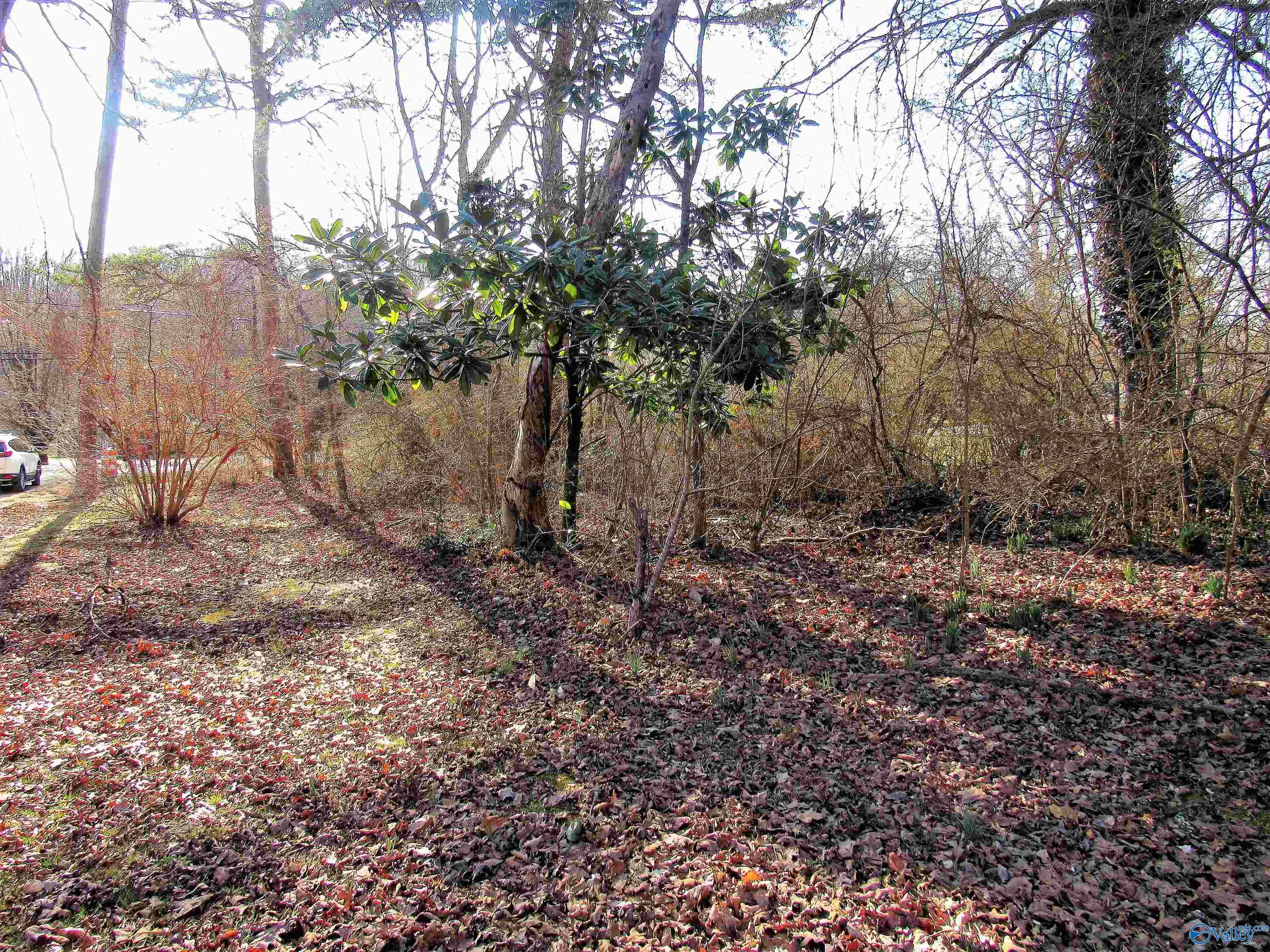 Lot 4 Alabama Highway 117