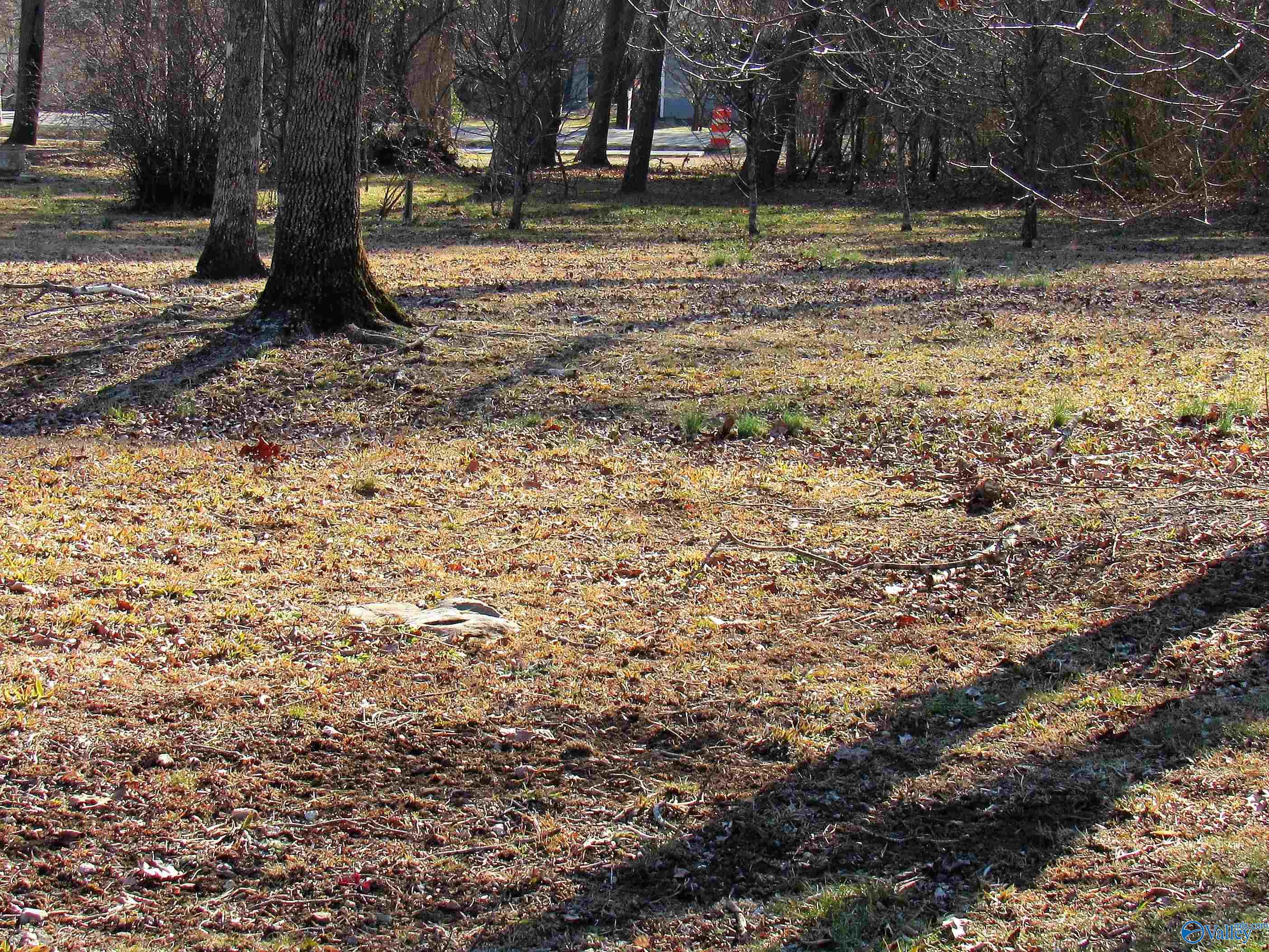 .49 Acres Cove Road