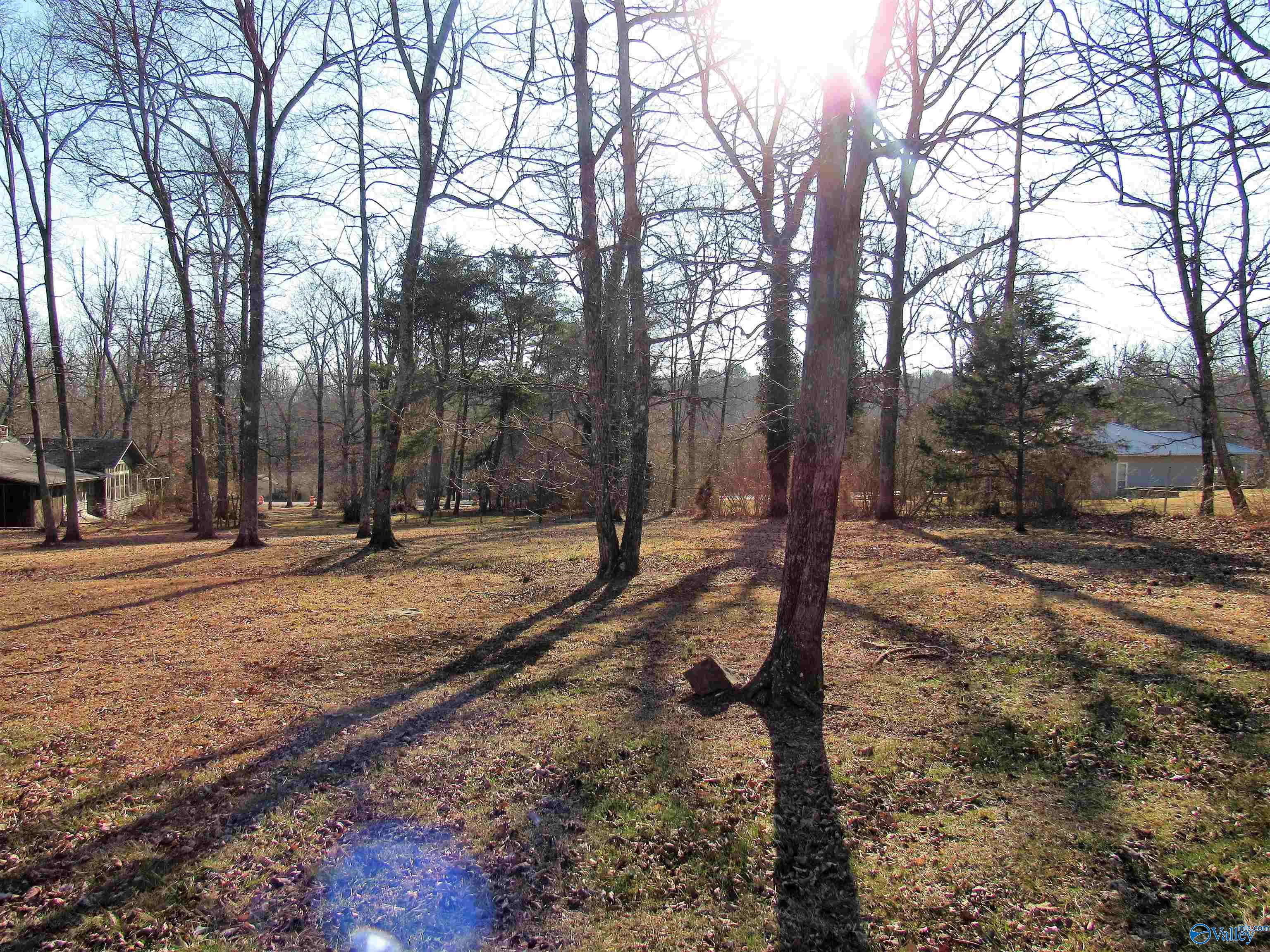 .49 Acres Cove Road