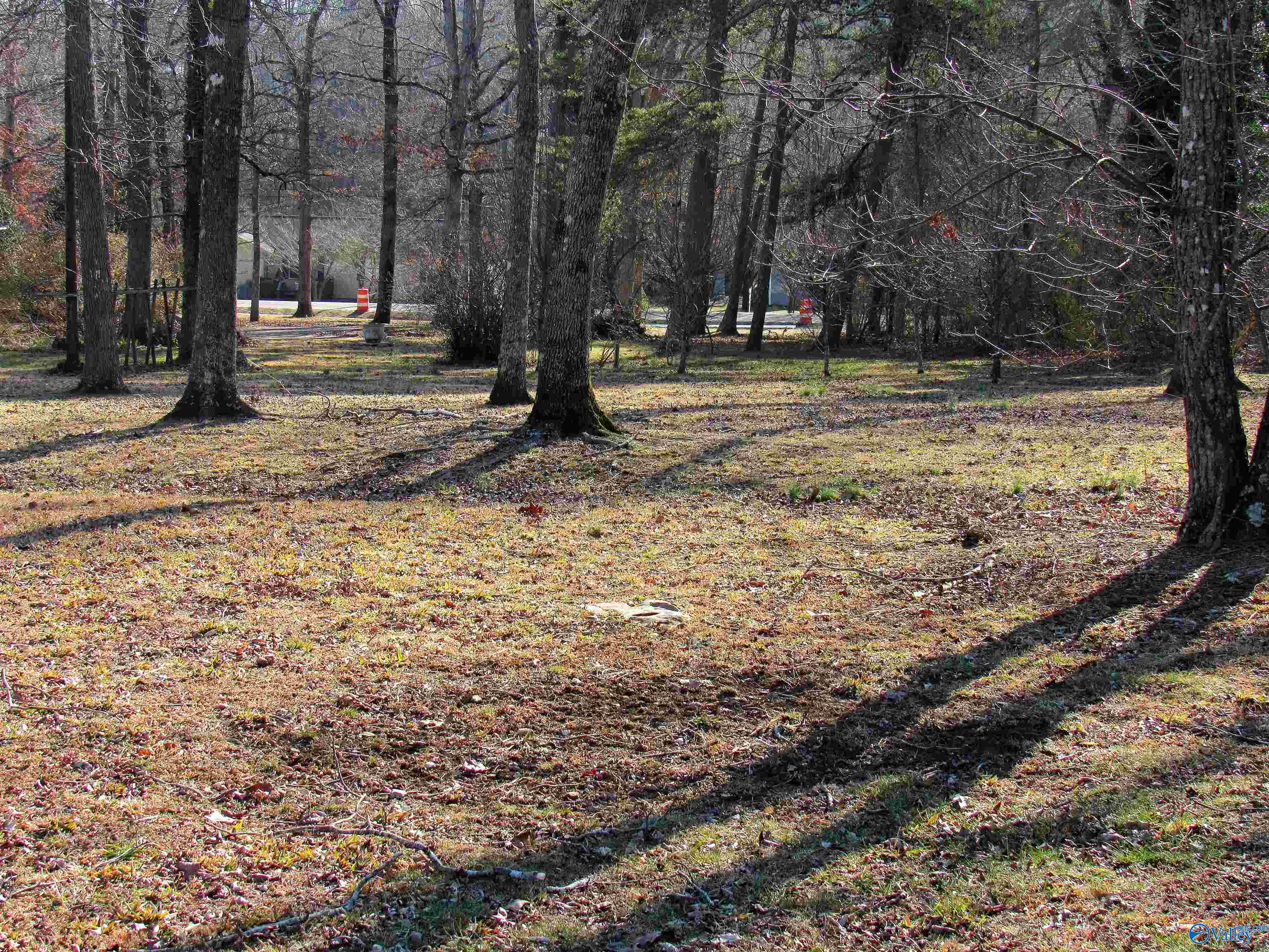 .49 Acres Cove Road