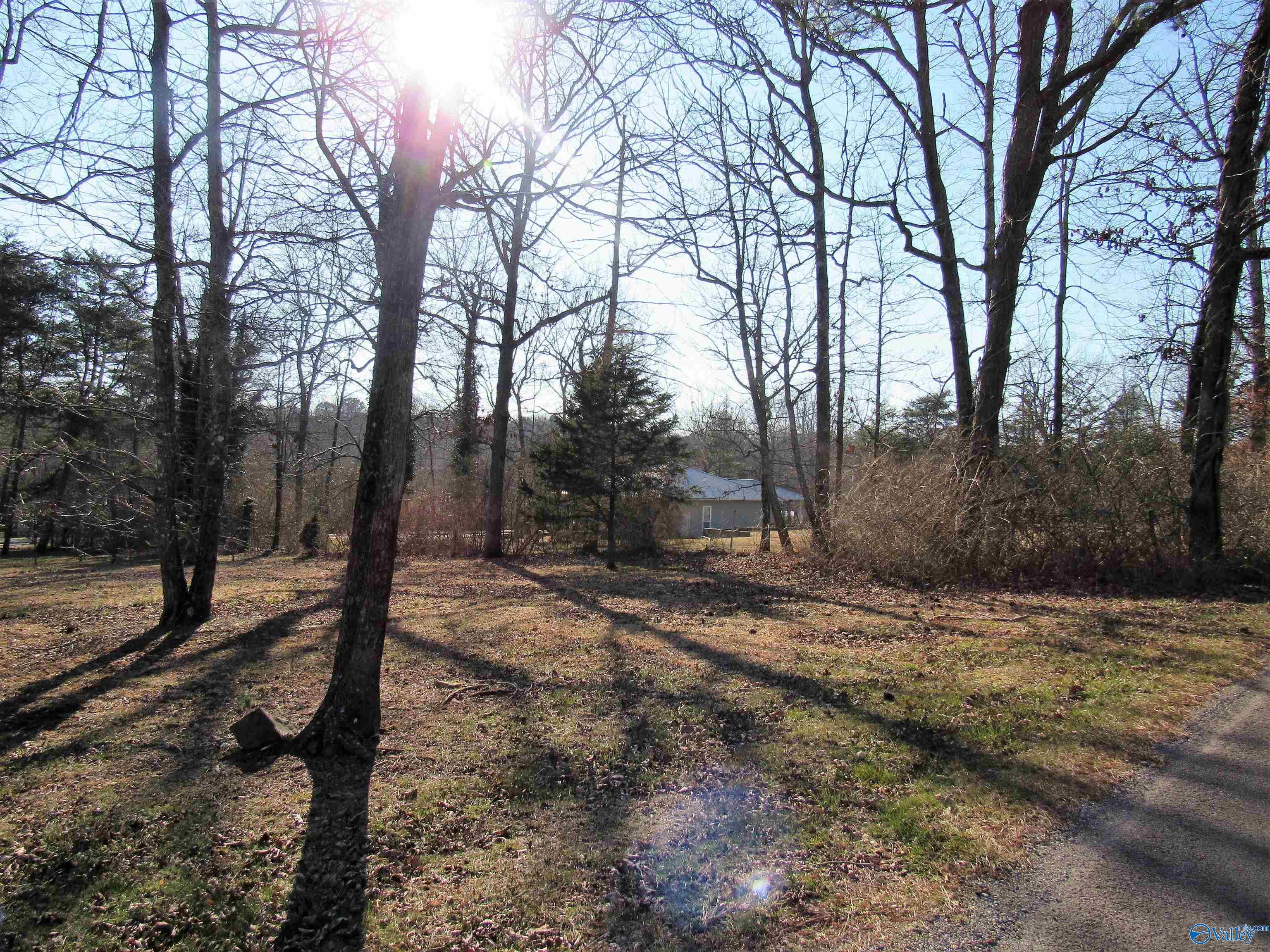 .49 Acres Cove Road