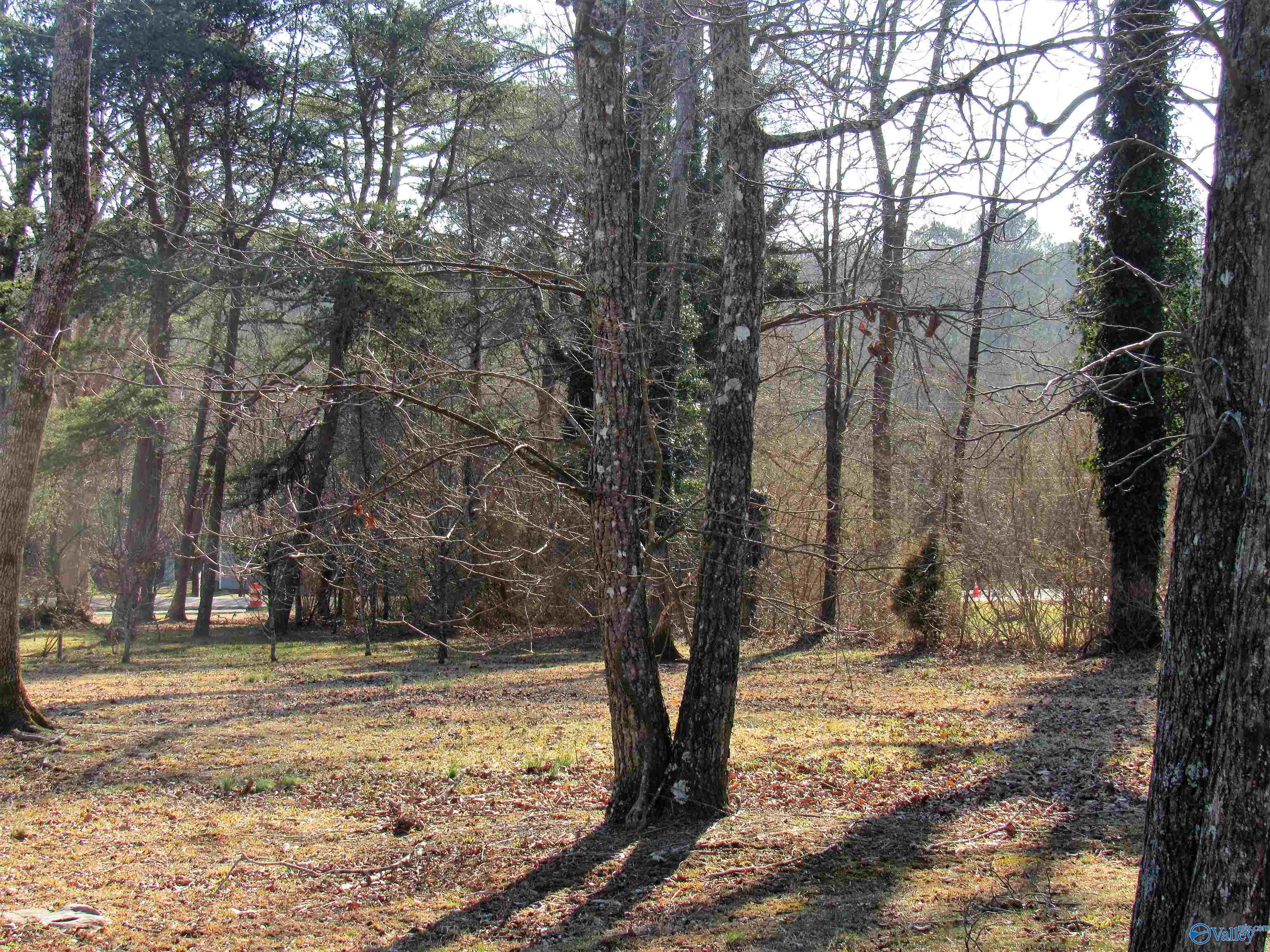 .49 Acres Cove Road