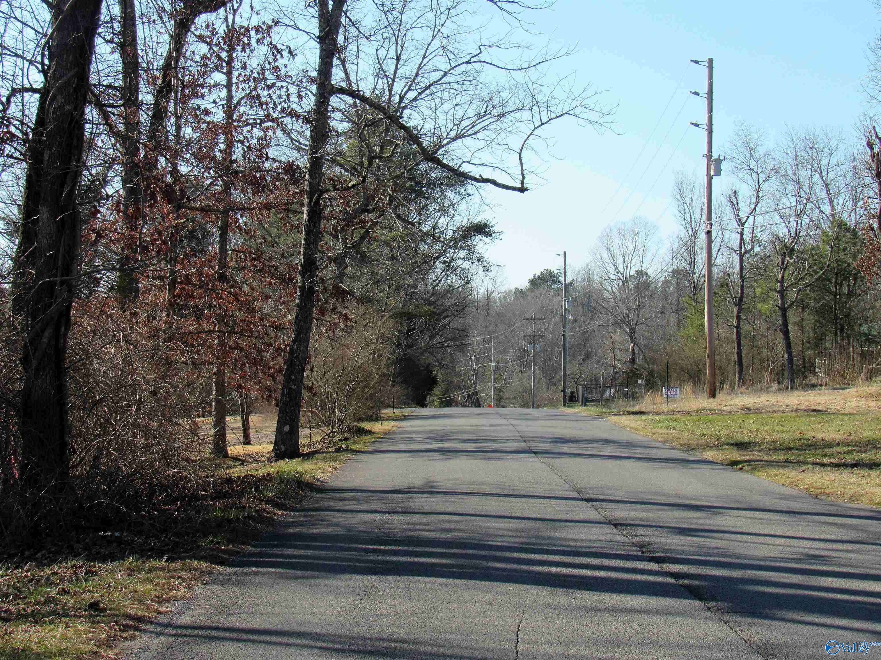 .49 Acres Cove Road