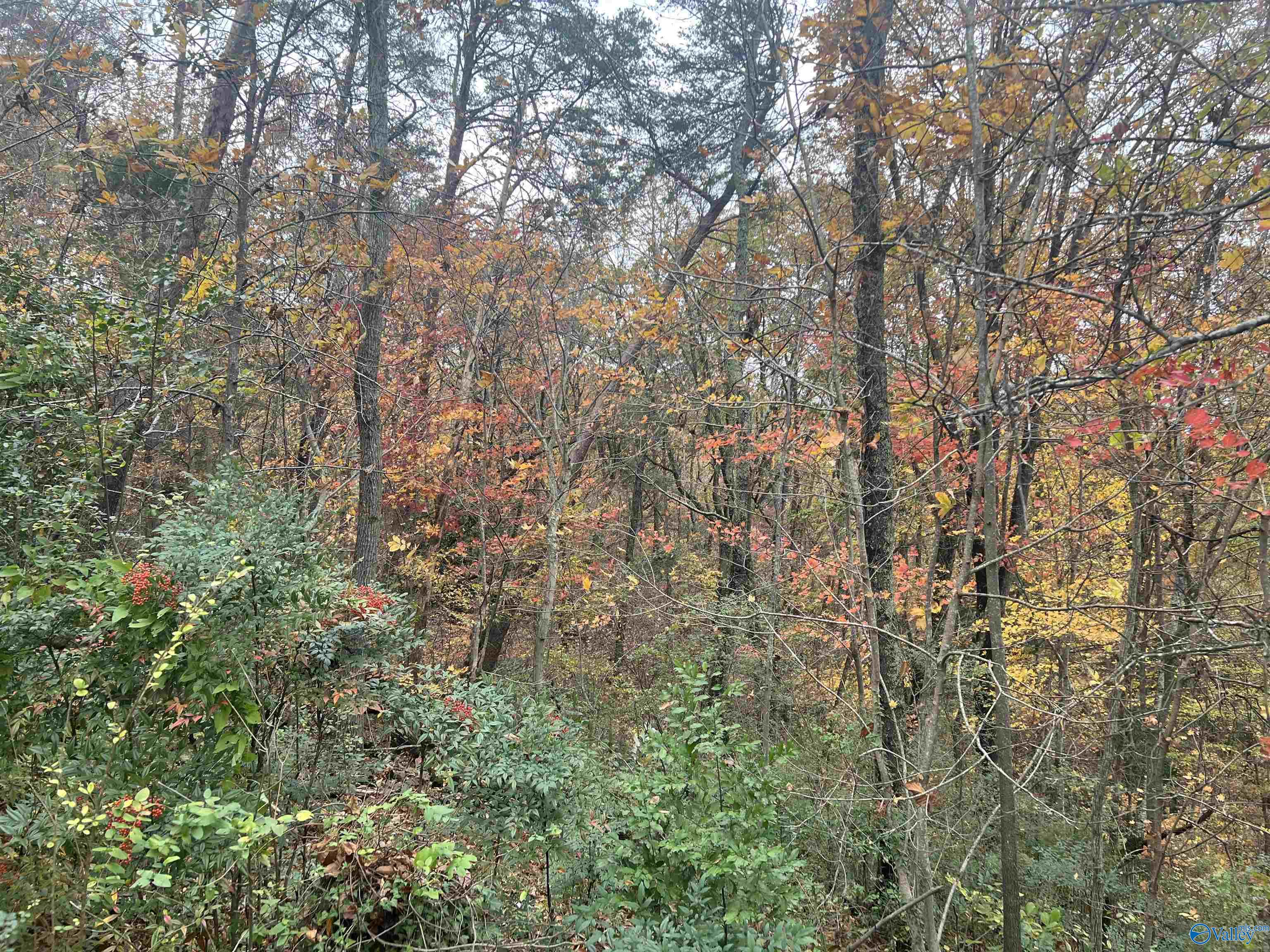 Lot 2nd Street