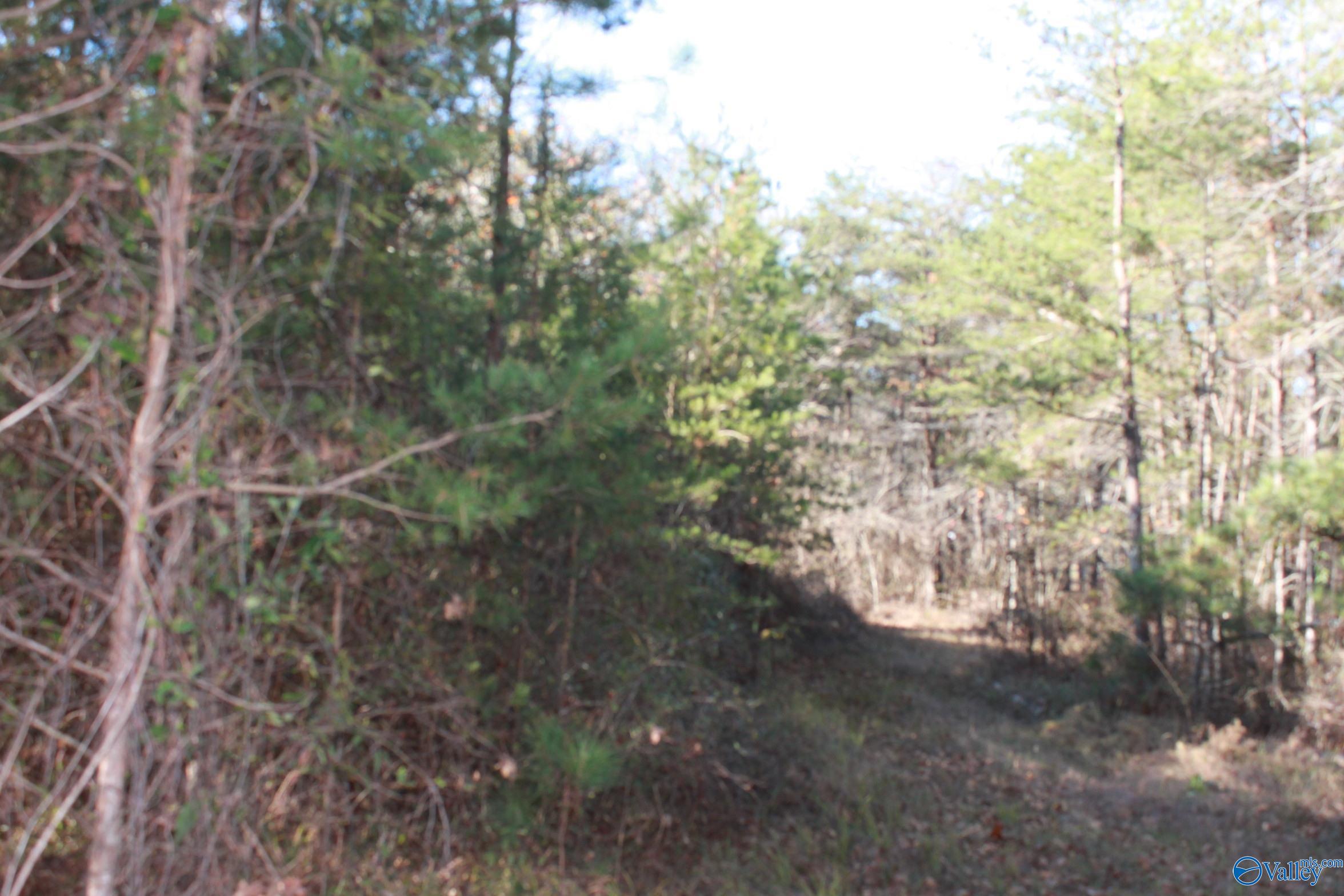 3451 County Road 107