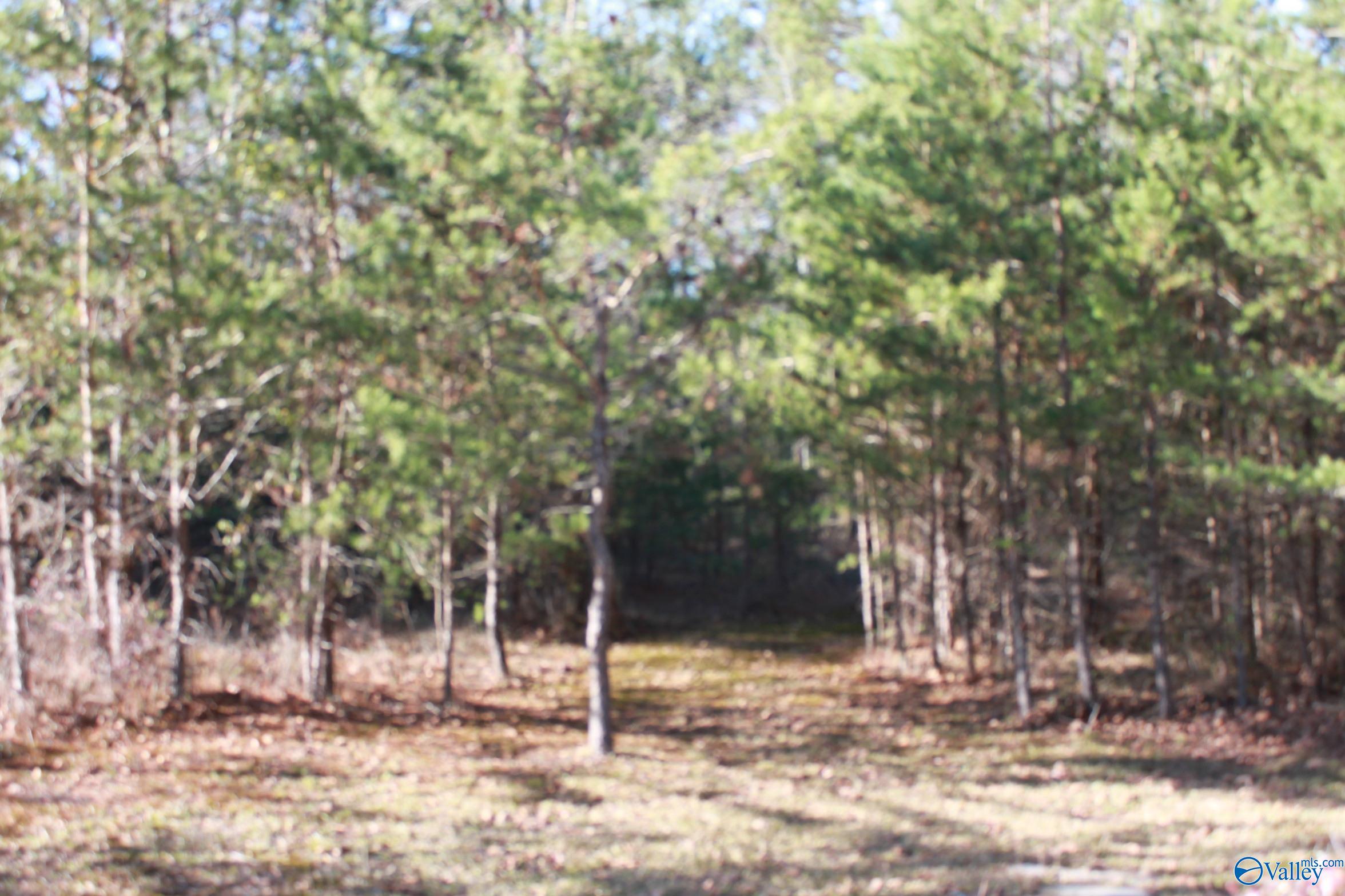 3451 County Road 107